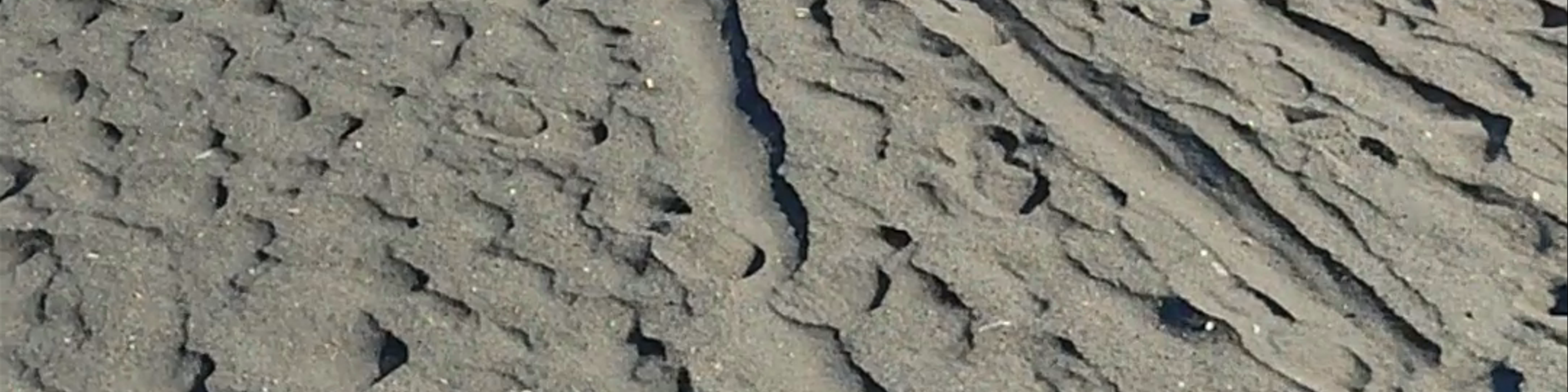 Gunung Batok, Area Gunung Bromo, Podokoyo, Pasuruan Regency