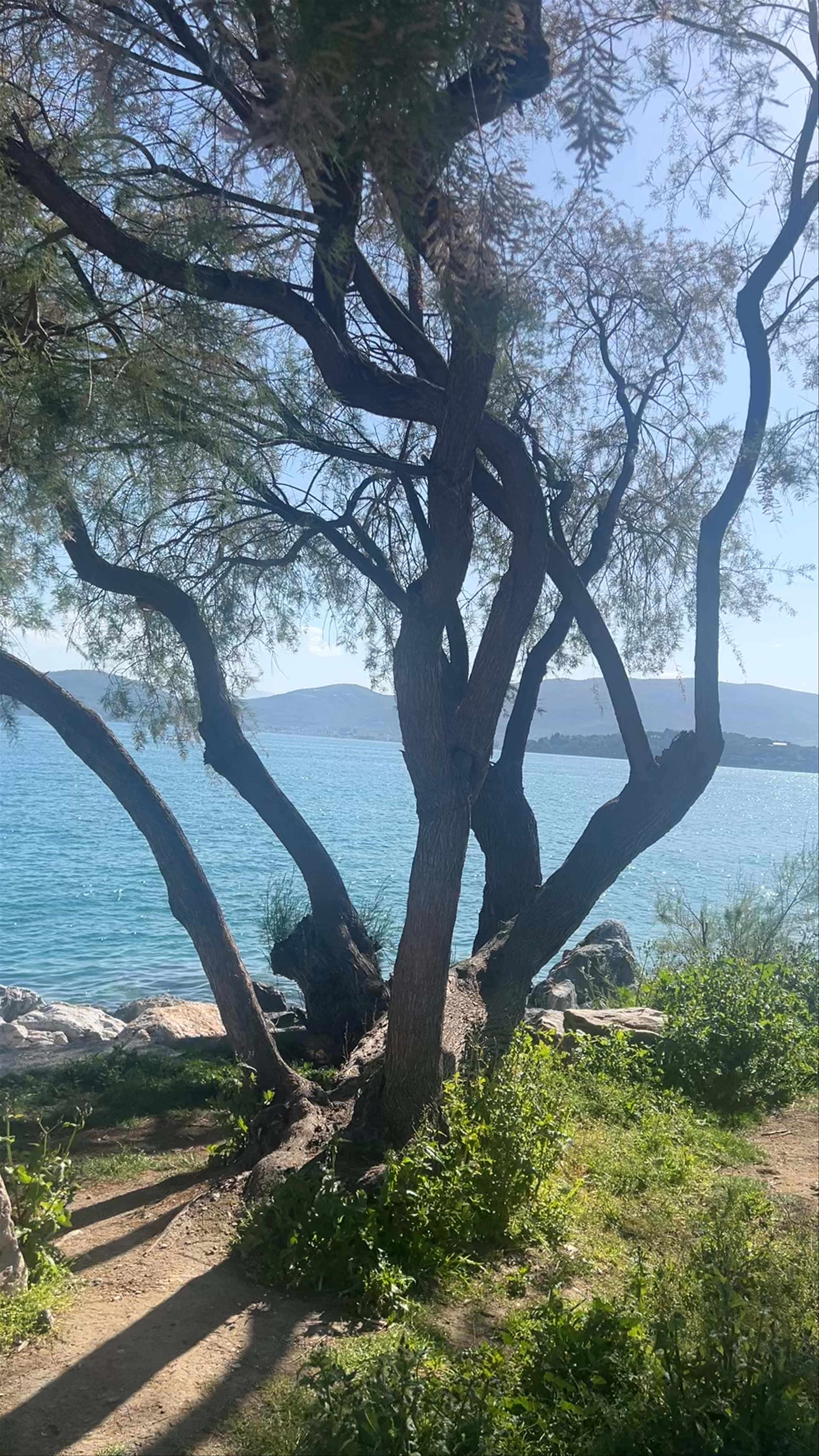 Anavros Park