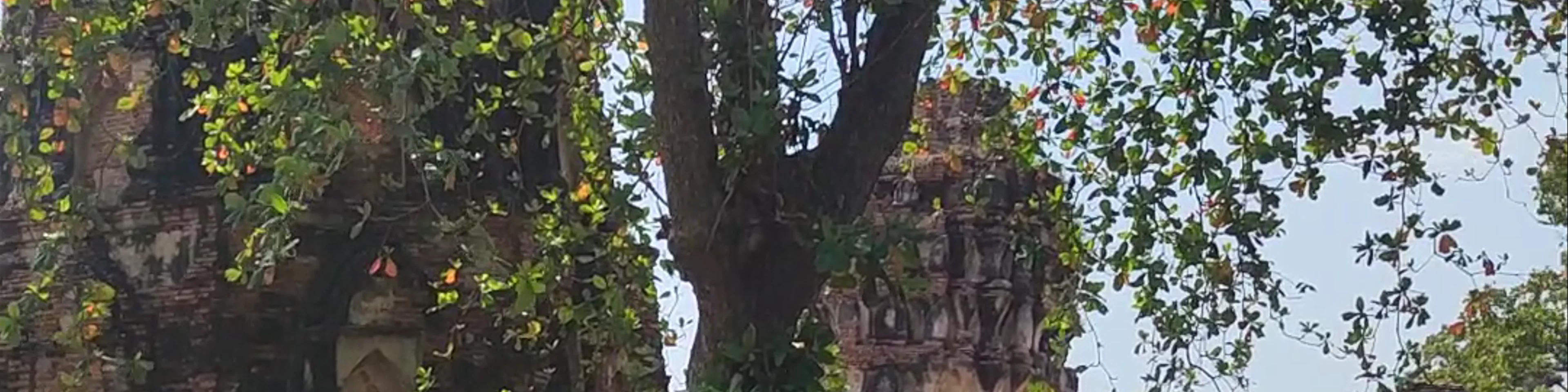 Wat Mahathat