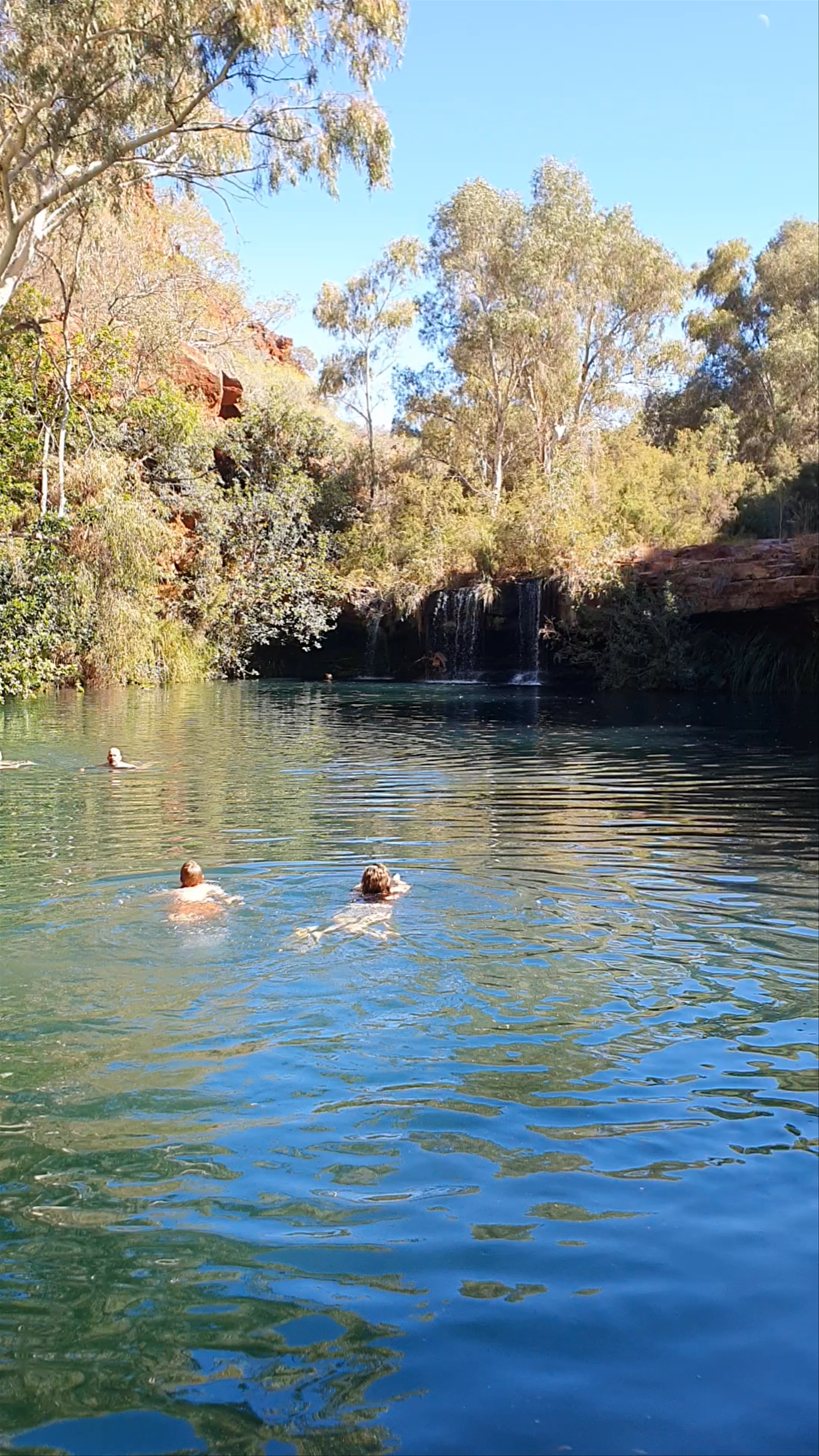 Fern Pool Serenity: Hidden Oasis in Karijini, Western Australia