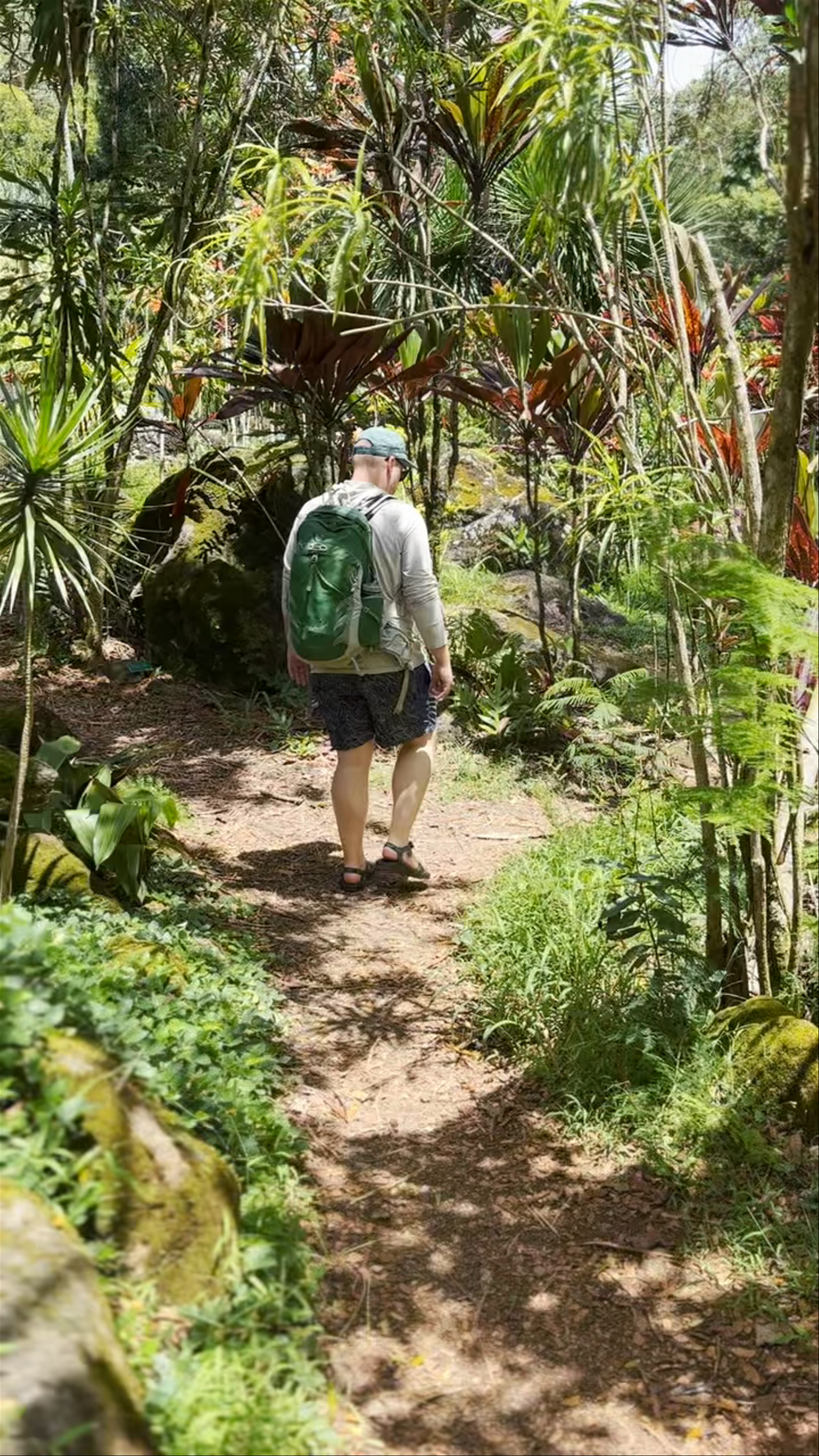 Waimea Valley