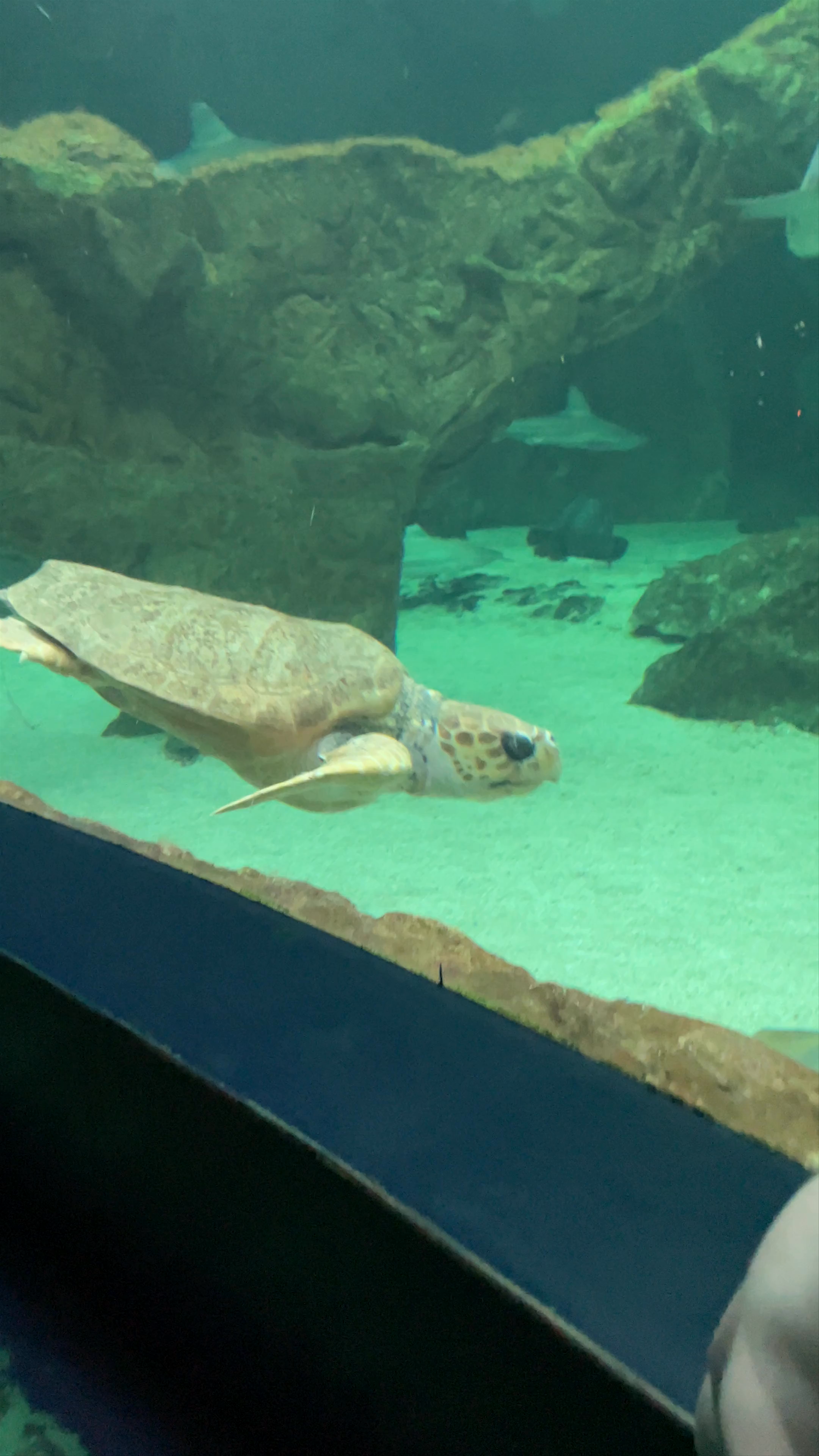 Aquarium