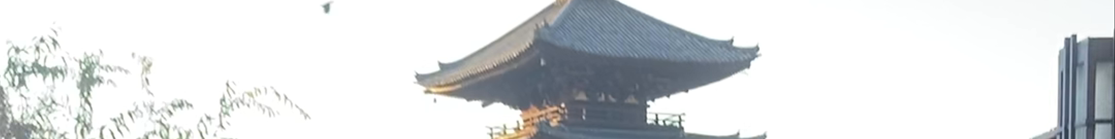Tours & experiences in Japan