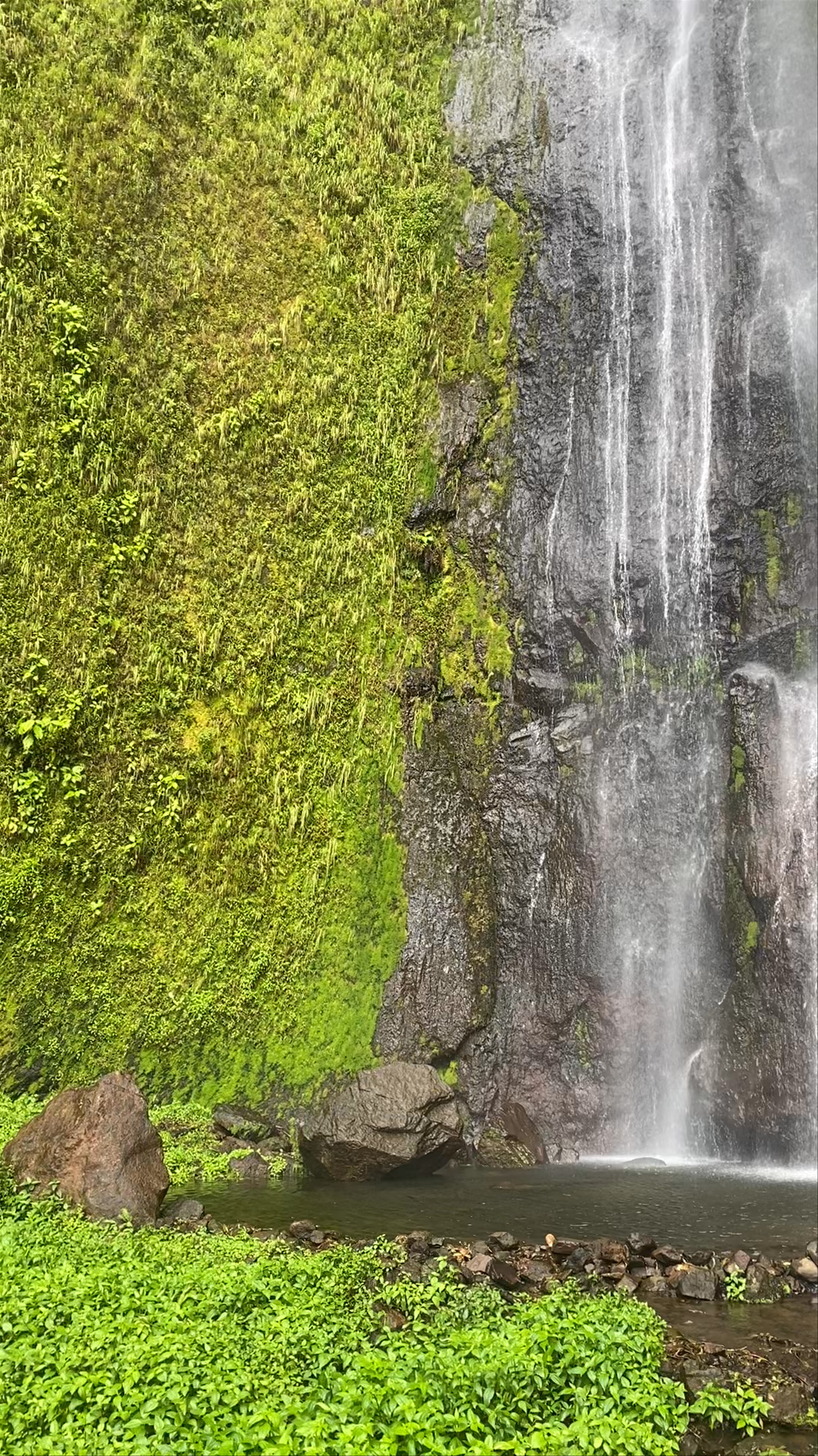 La Cascada de San Ramón