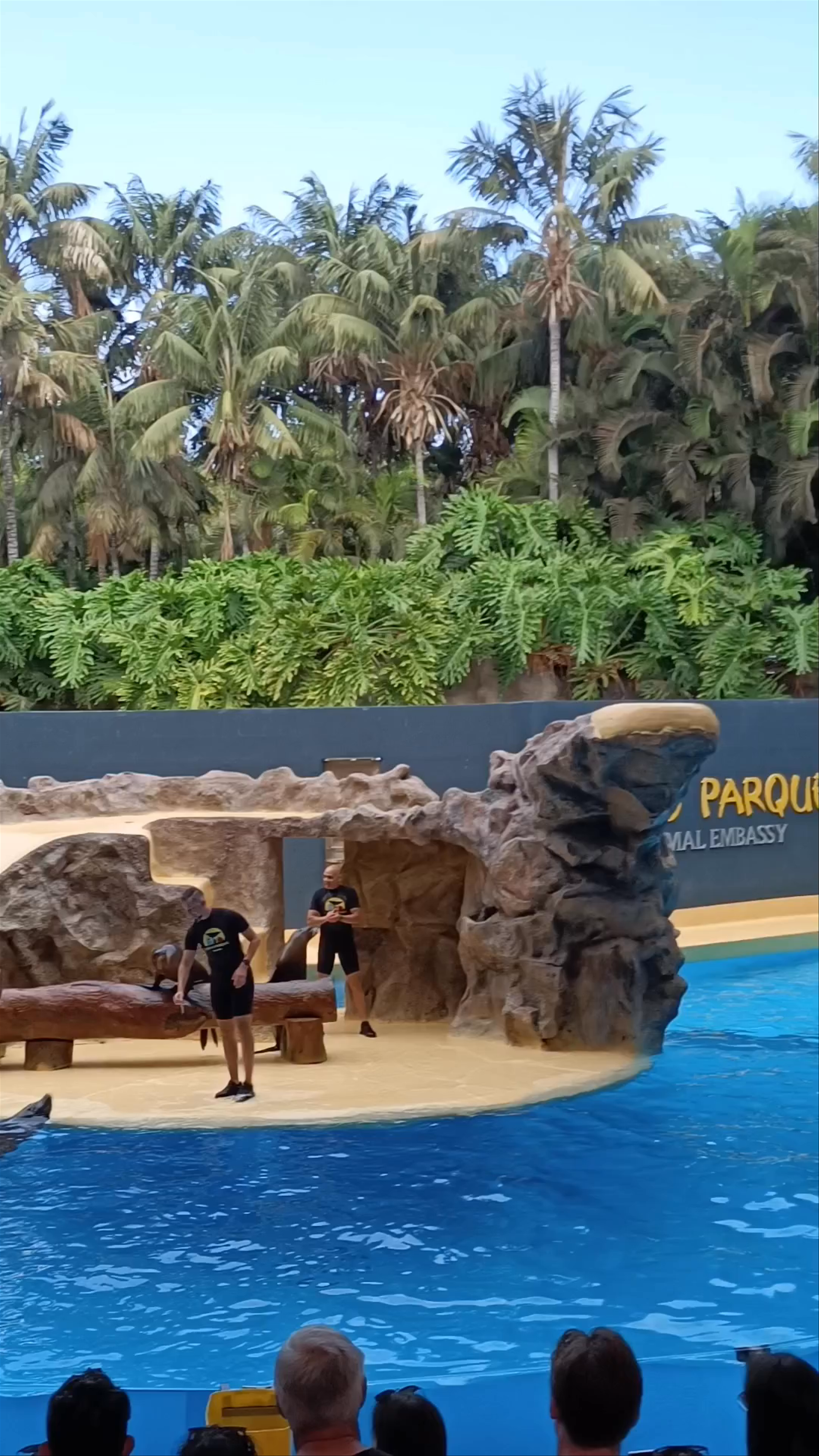 Leones Marinos Show at Loro Parque, Puerto de la Cruz