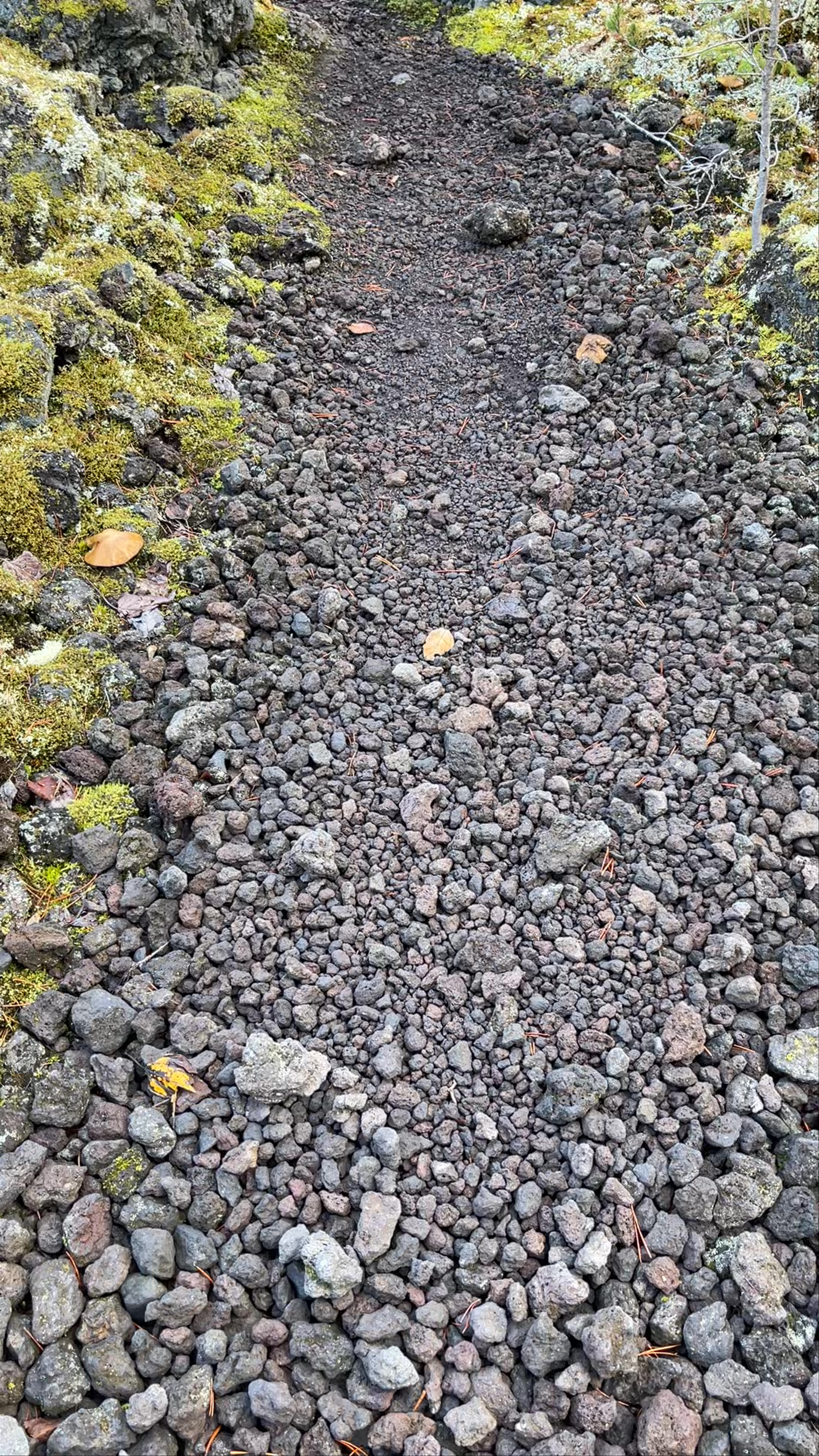Nisga'a Lava Flow Trailhead
