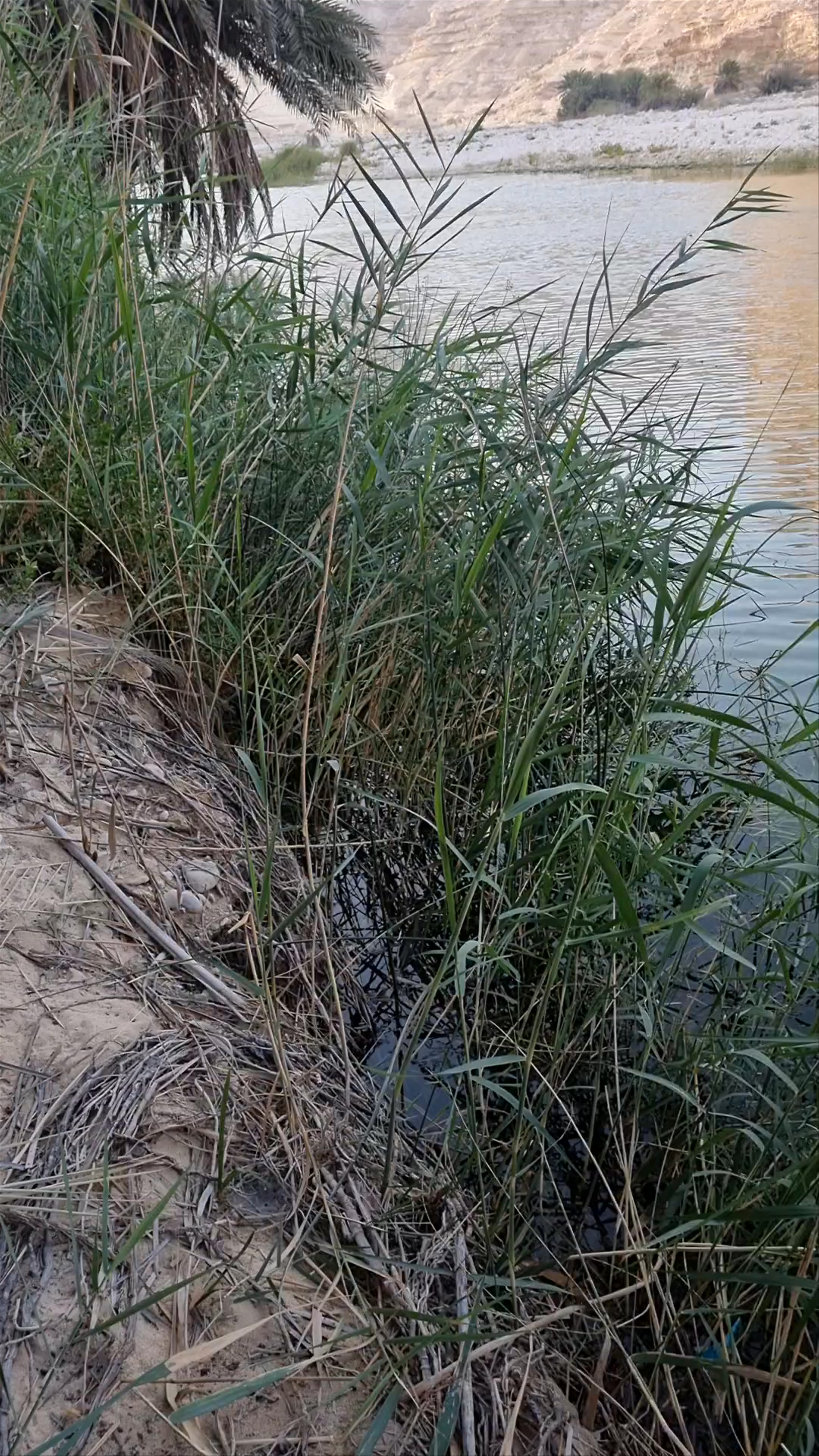 Khor Sanq (Wadi Al Nakheel)