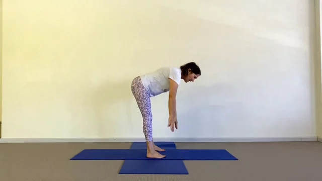 MM #1- 25 minutes - Standing poses, dog pose, chatush padasana and a lying twist. No props needed for this one. [A]