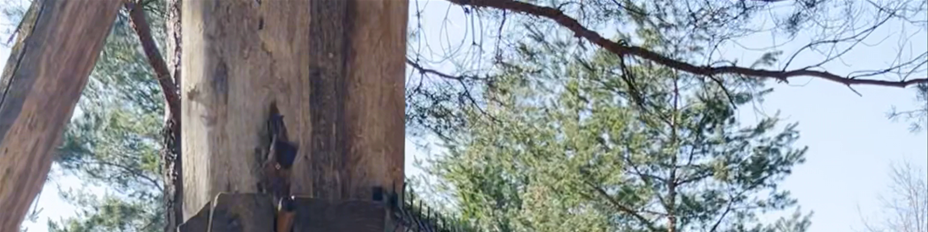 Ranch Dolina Jelena / Ranch Deer Valley