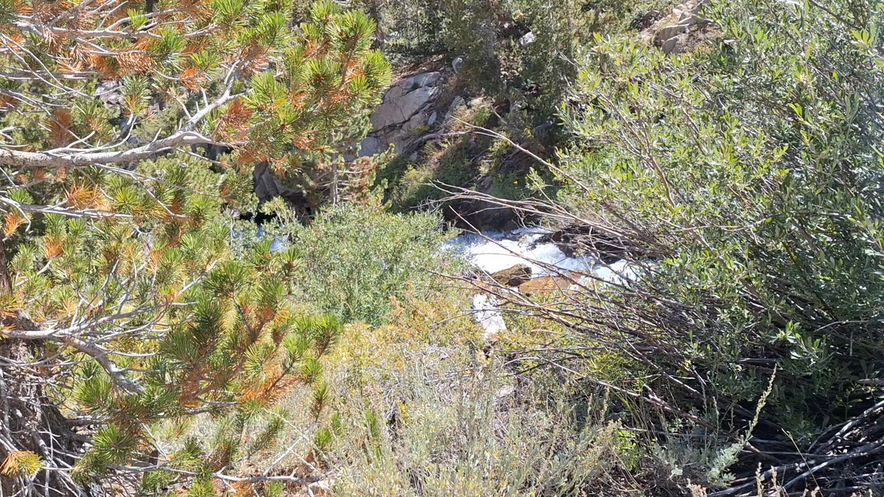 Onion Valley Campground - Campgrounds Near Me - Independence, California