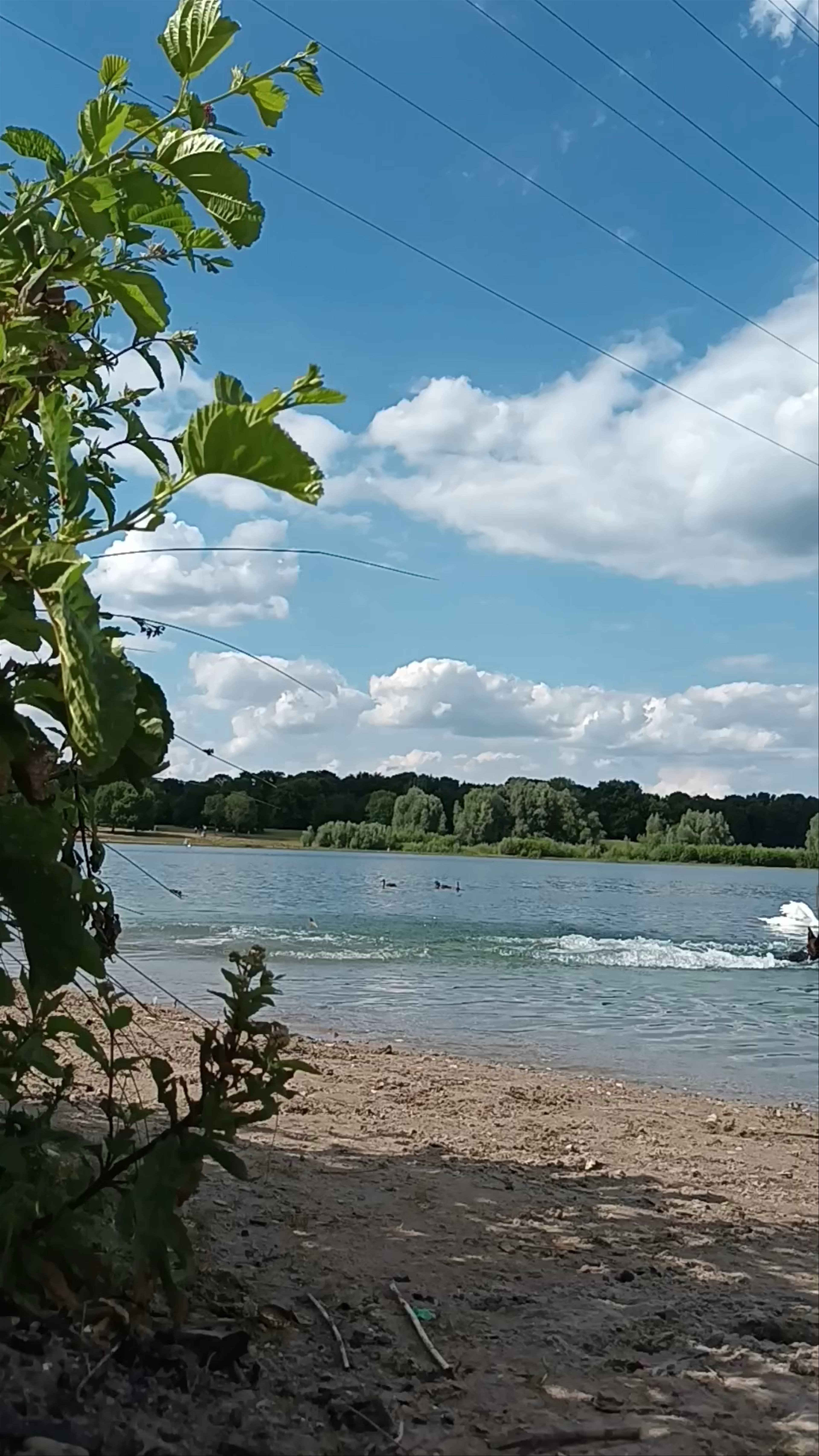 Serene Summer Day at Grüner See, Ratingen, Germany