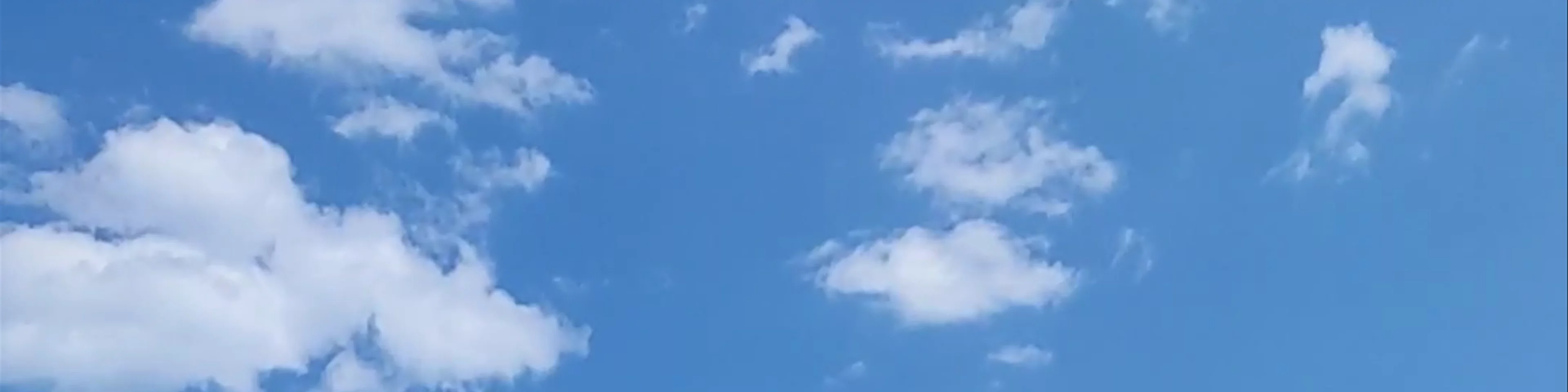 Ψαροταβέρνα Εστιατόριο Γλάρος