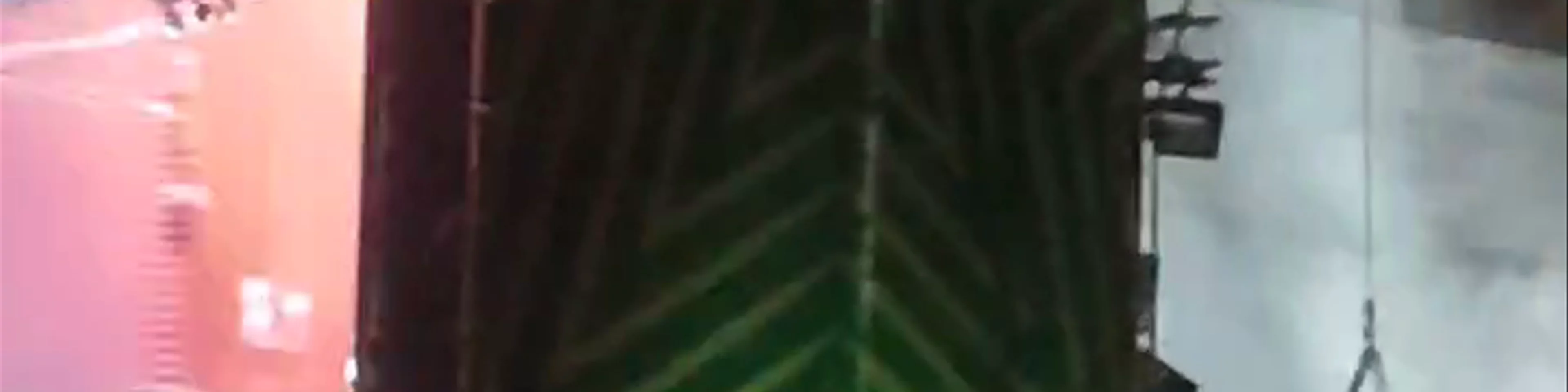 Fica