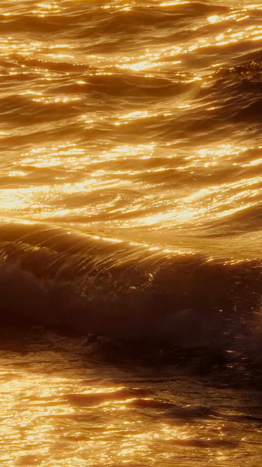The Luxury Lifestyle Showreel