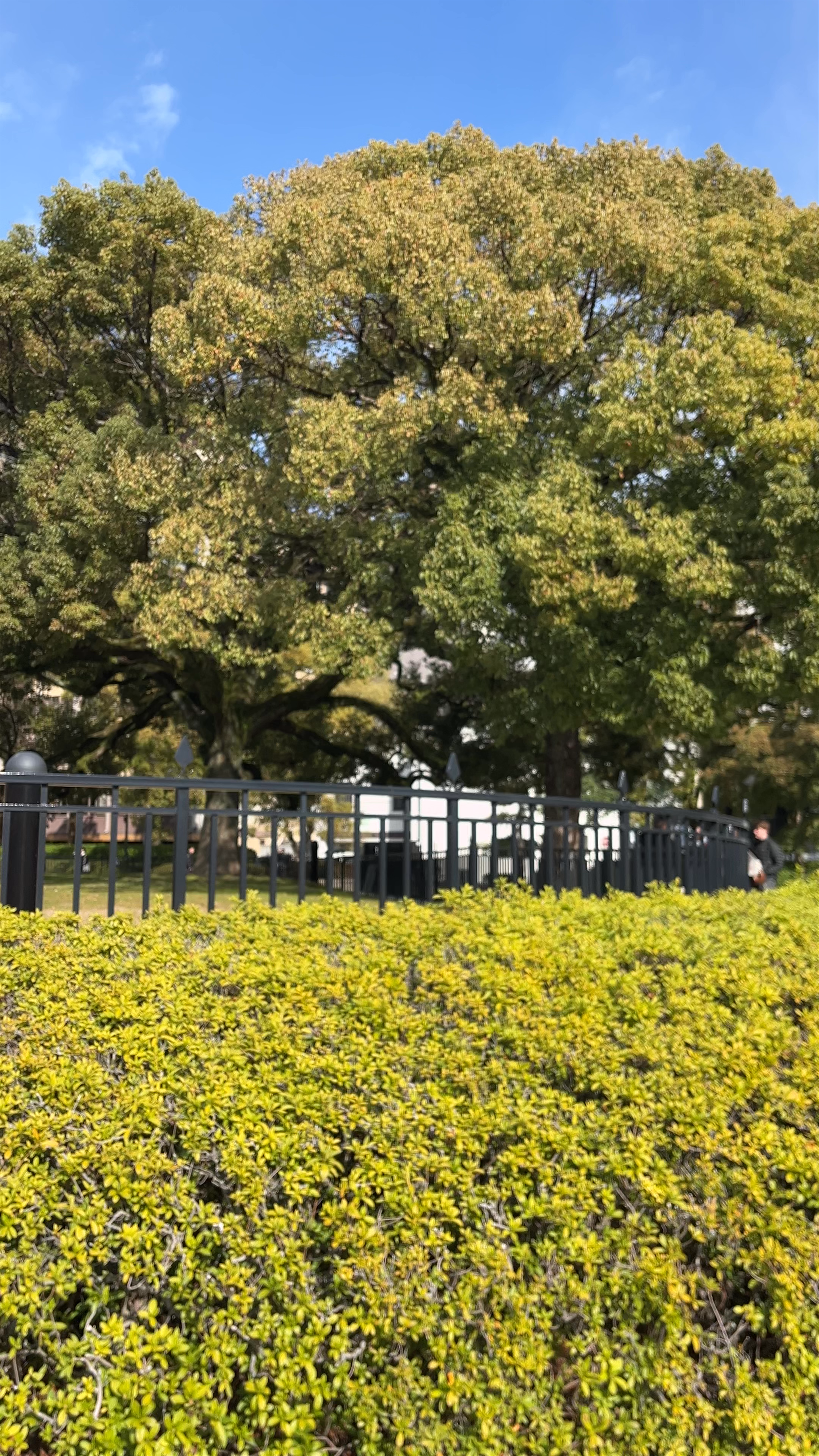 Monumento de la Paz de Hiroshima