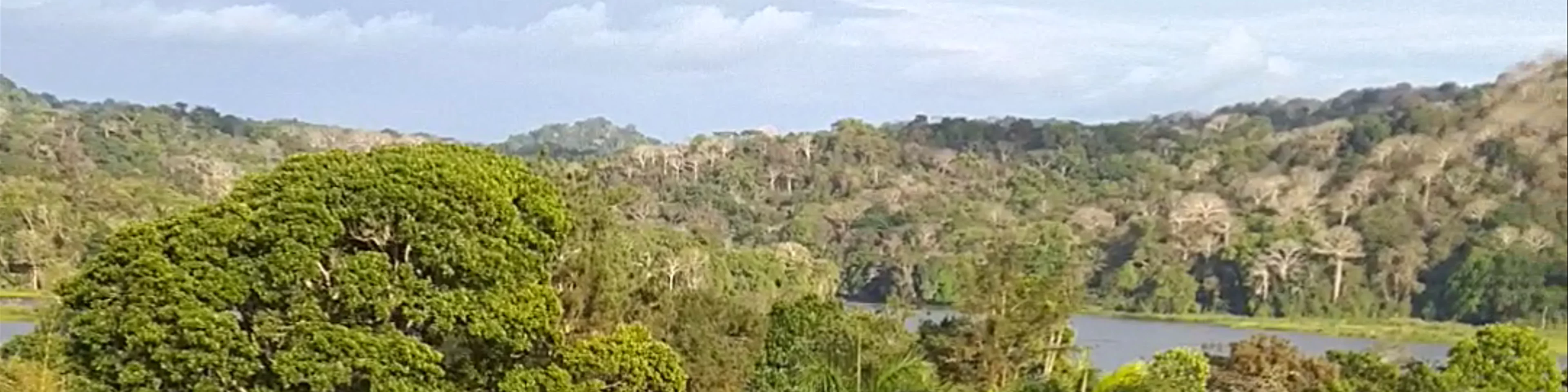 Gamboa Rainforest Reserve