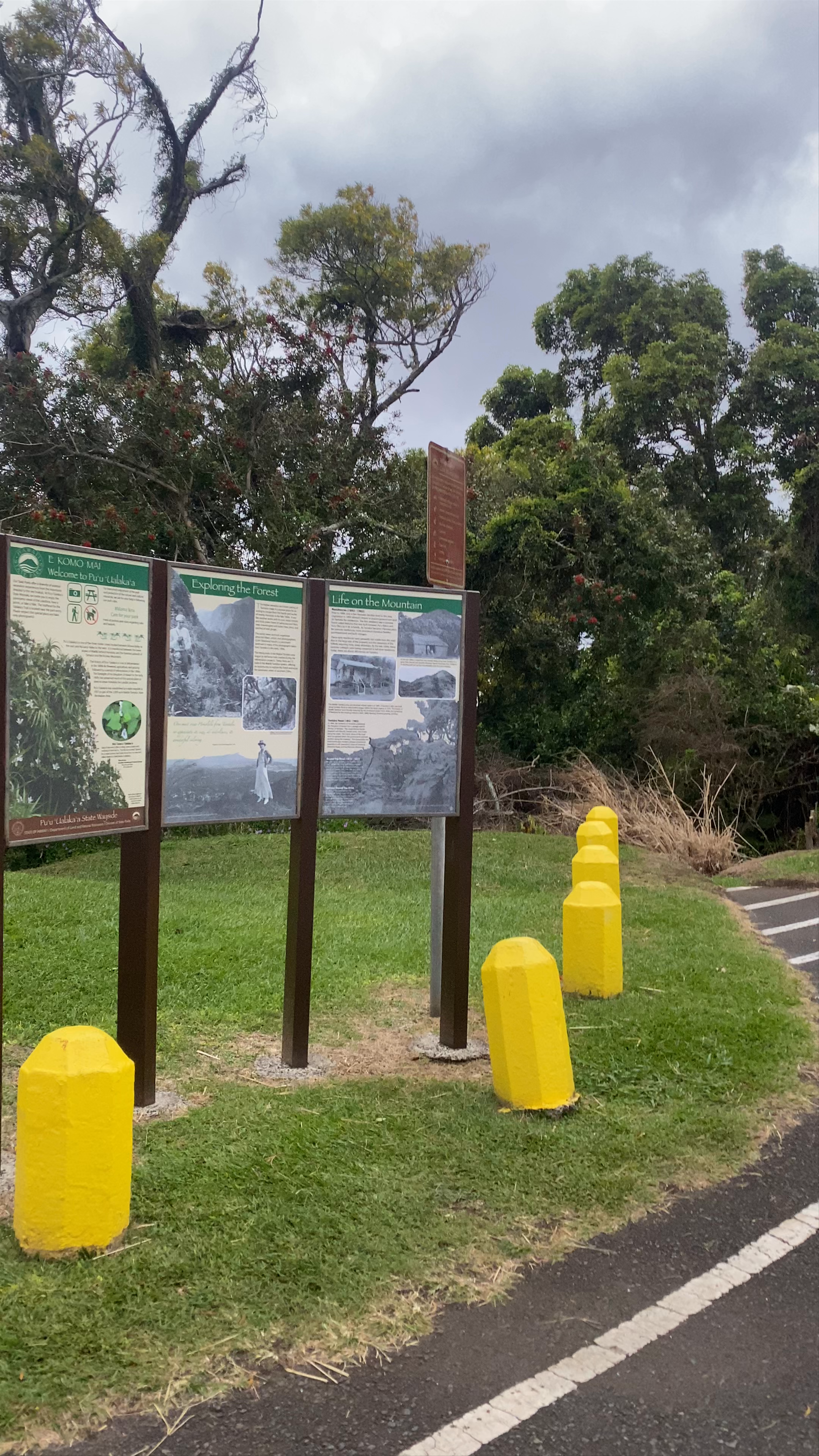 Tantalus Lookout Panorama: Majestic Views Over Honolulu