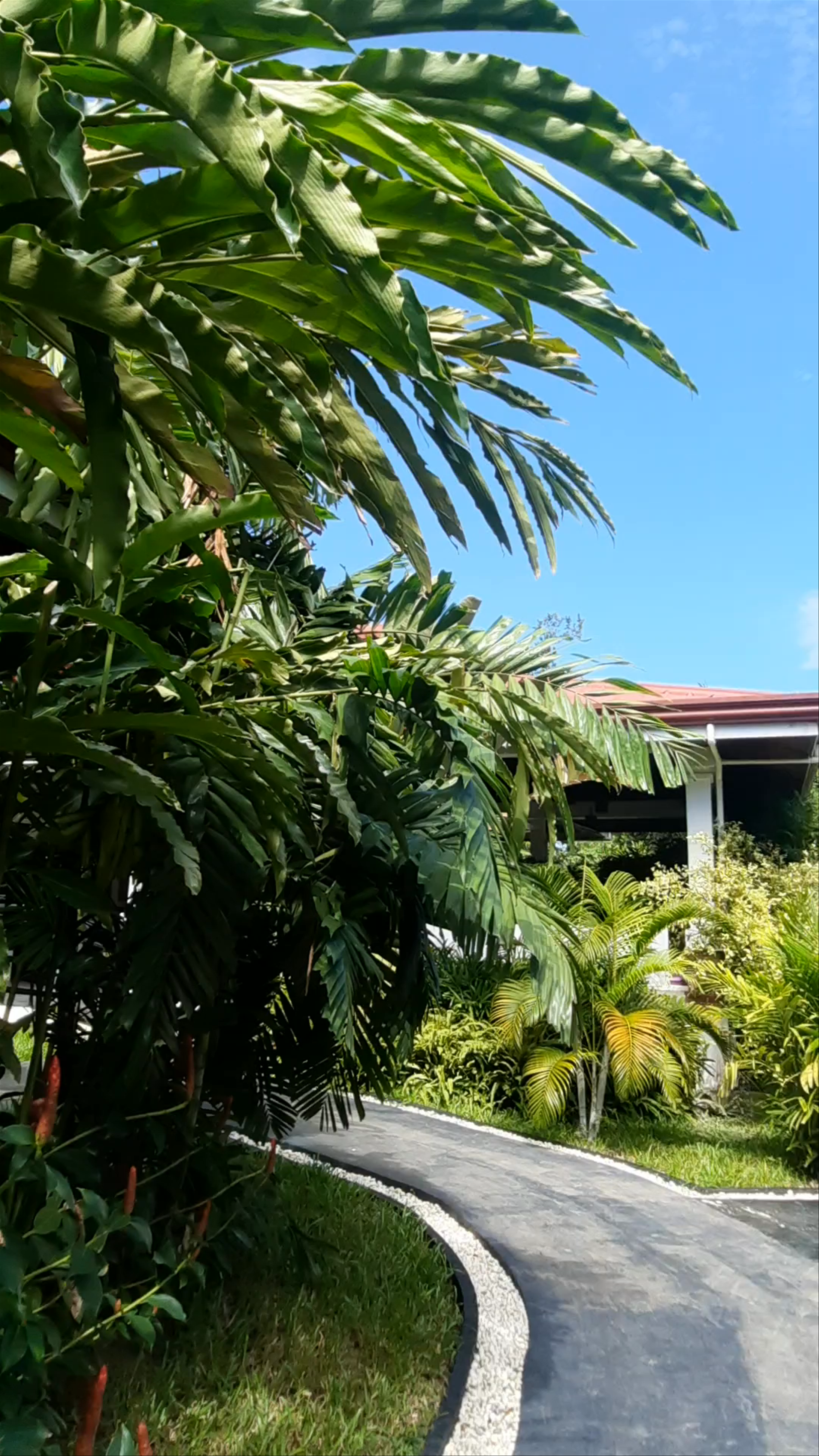 Carpe Diem Hotel and Villas Palawan