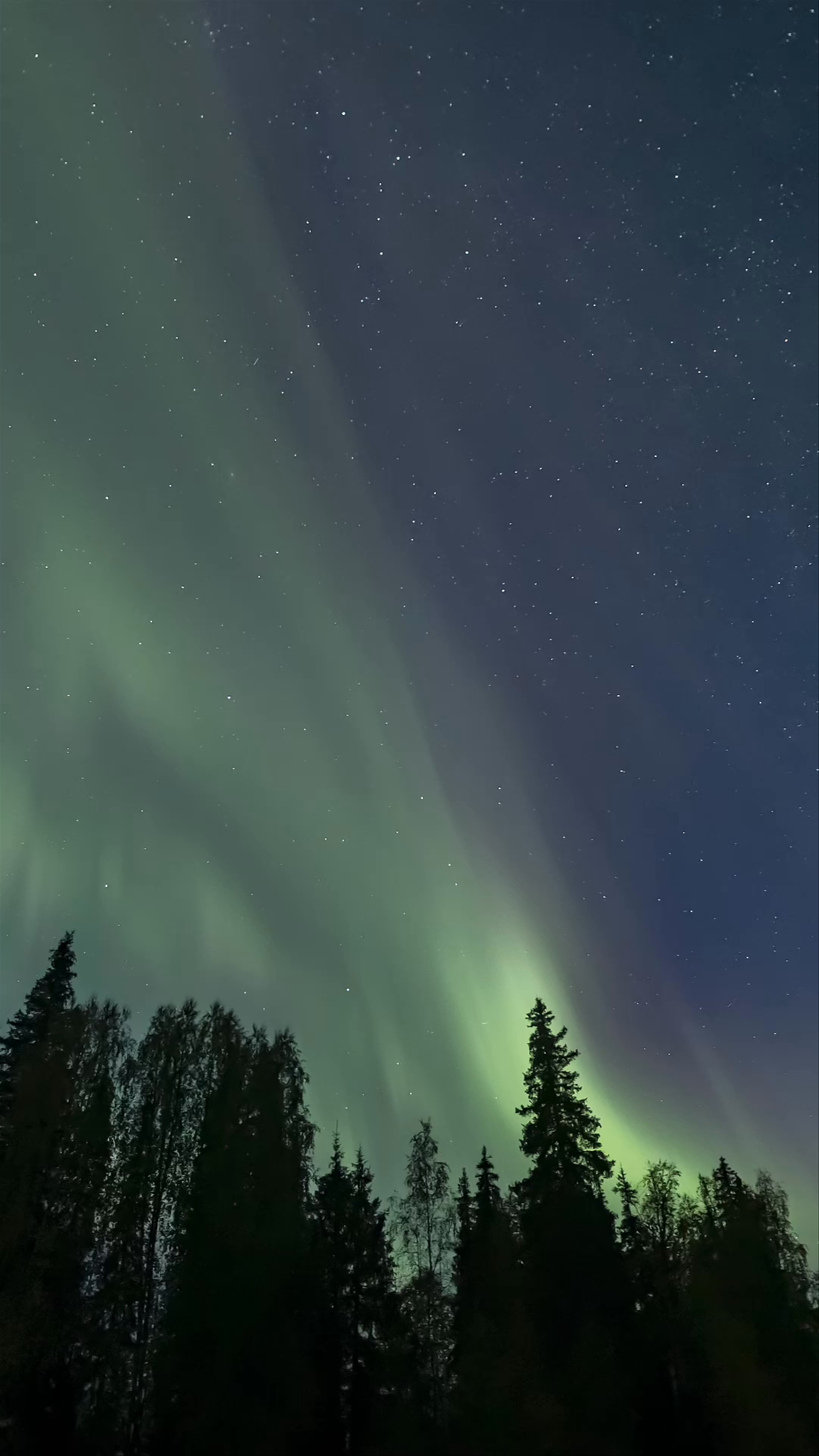 Mesmerizing Northern Lights Over Kapsajoki Forest, Finland