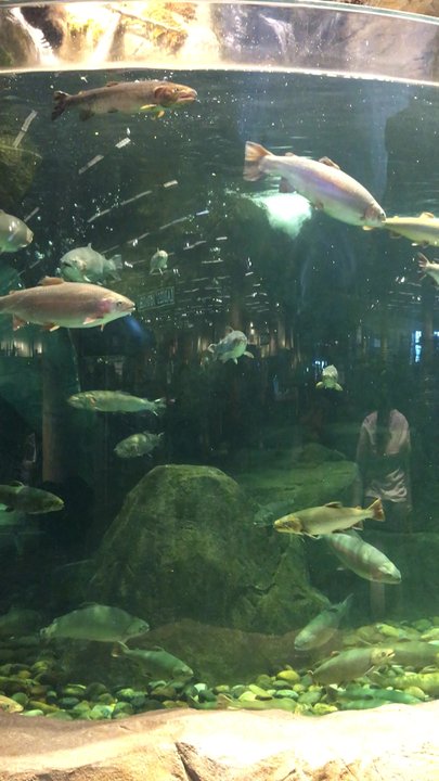 Bass Pro Shops - Hunting & Fishing Supplies Near Me - Delta, British Columbia