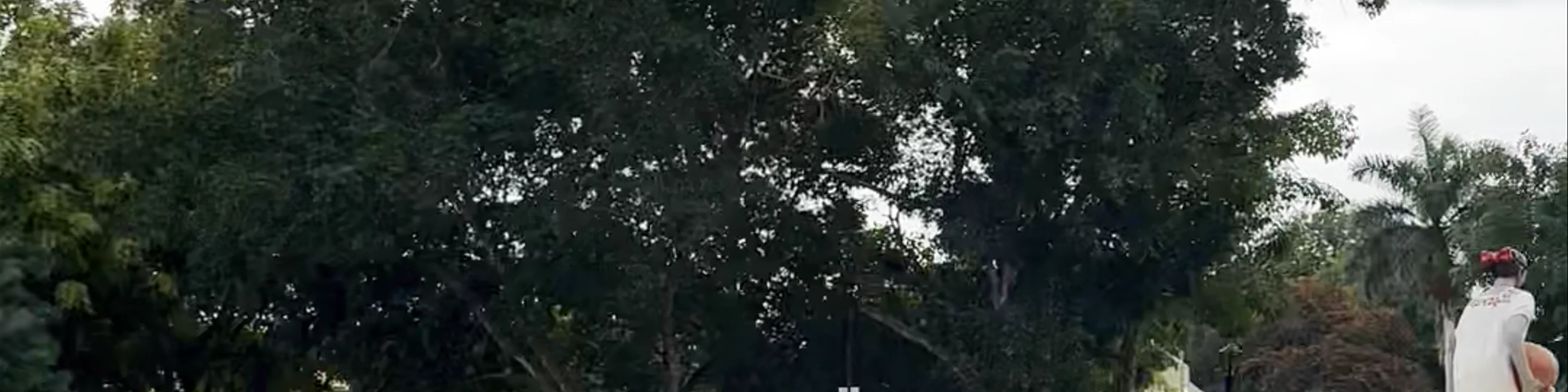 Parque Principal Francisco Cantón Rosado