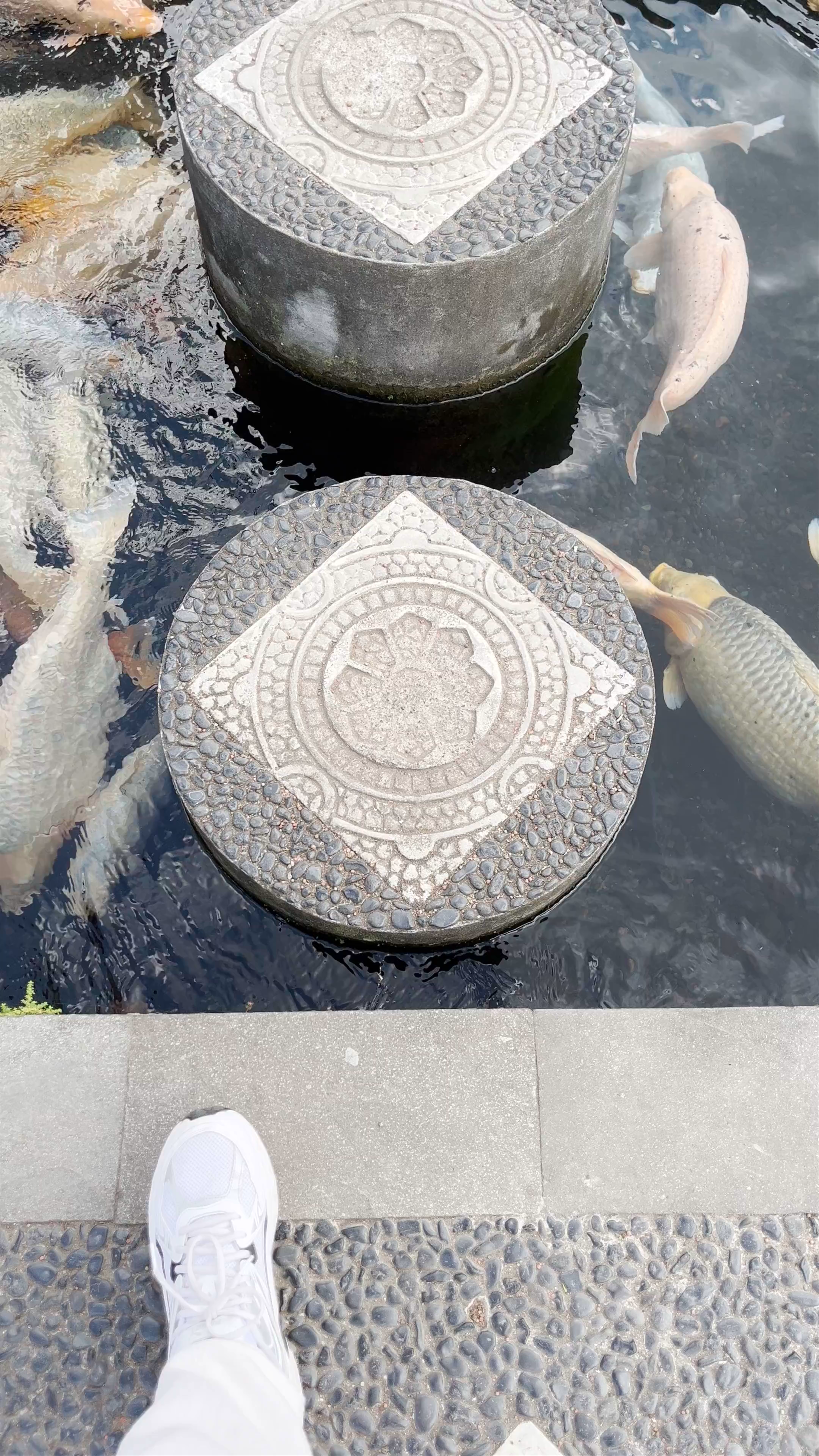 Enchanting Steps and Koi at Tirta Gangga Water Palace, Bali