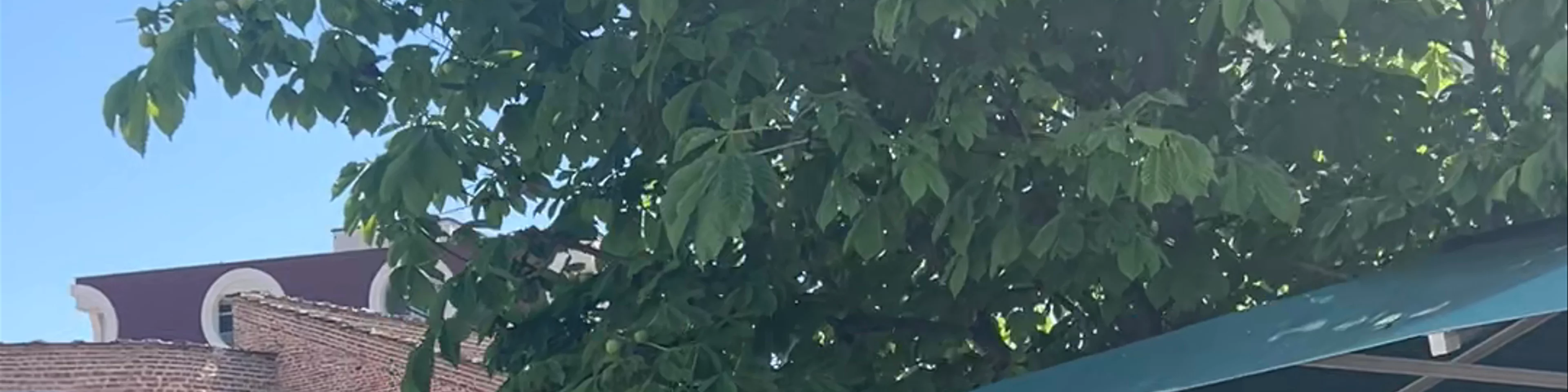 Pazari i Korçës