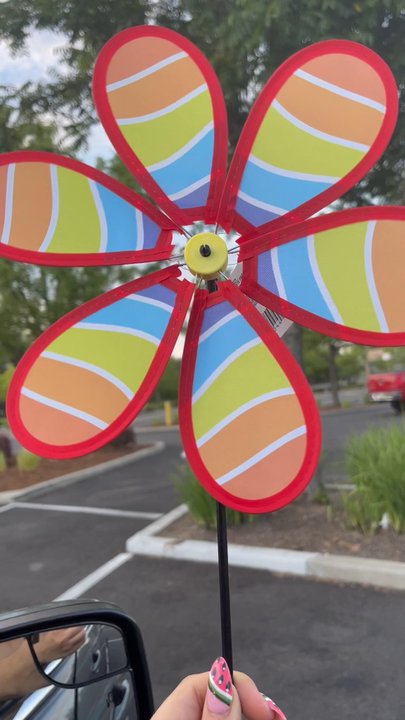 Dollar Tree - My daughter loves this windmill! - Discount Store Near Me - Fair Oaks, California