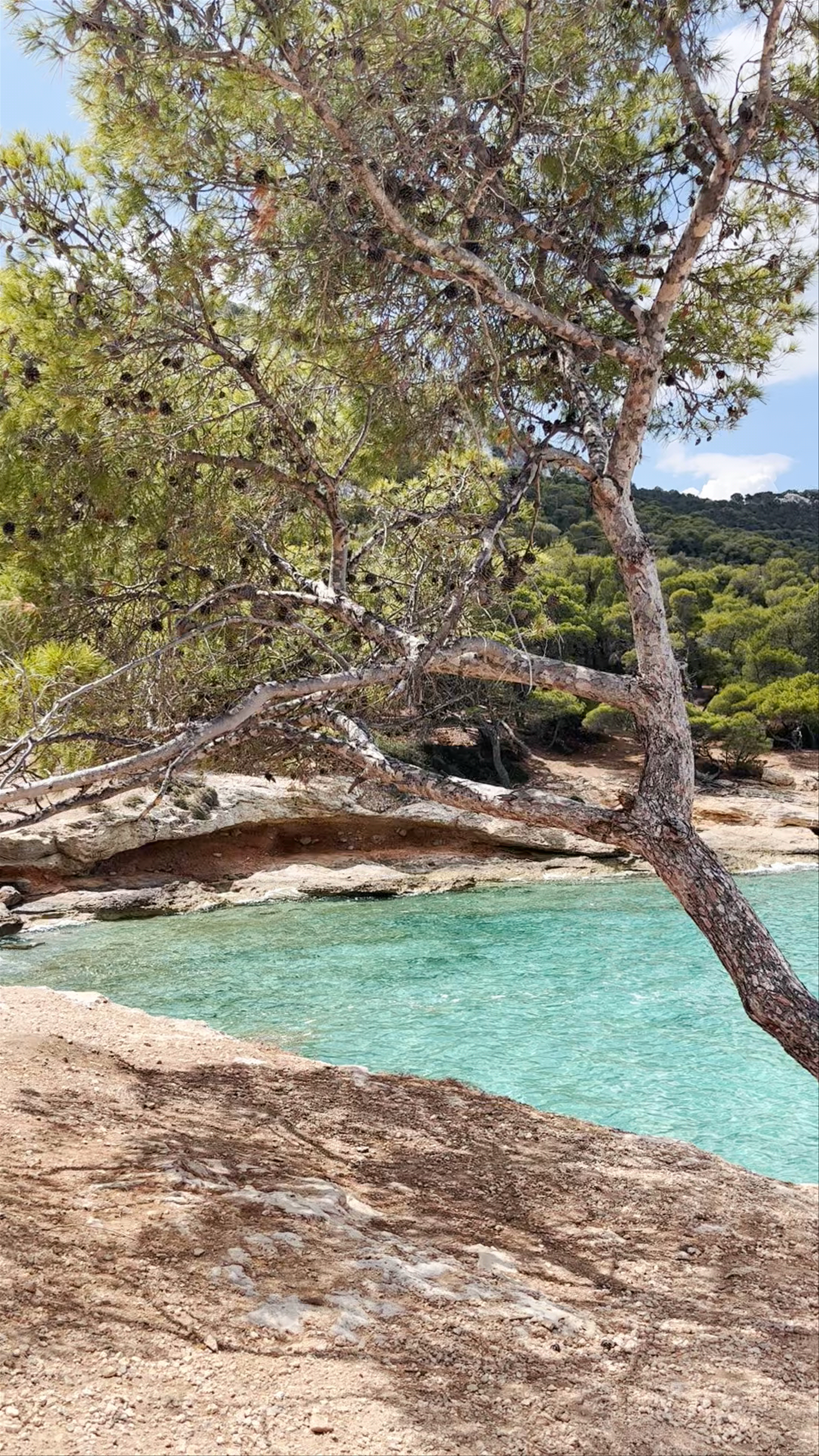 Παραλία Μονής Αίγινας