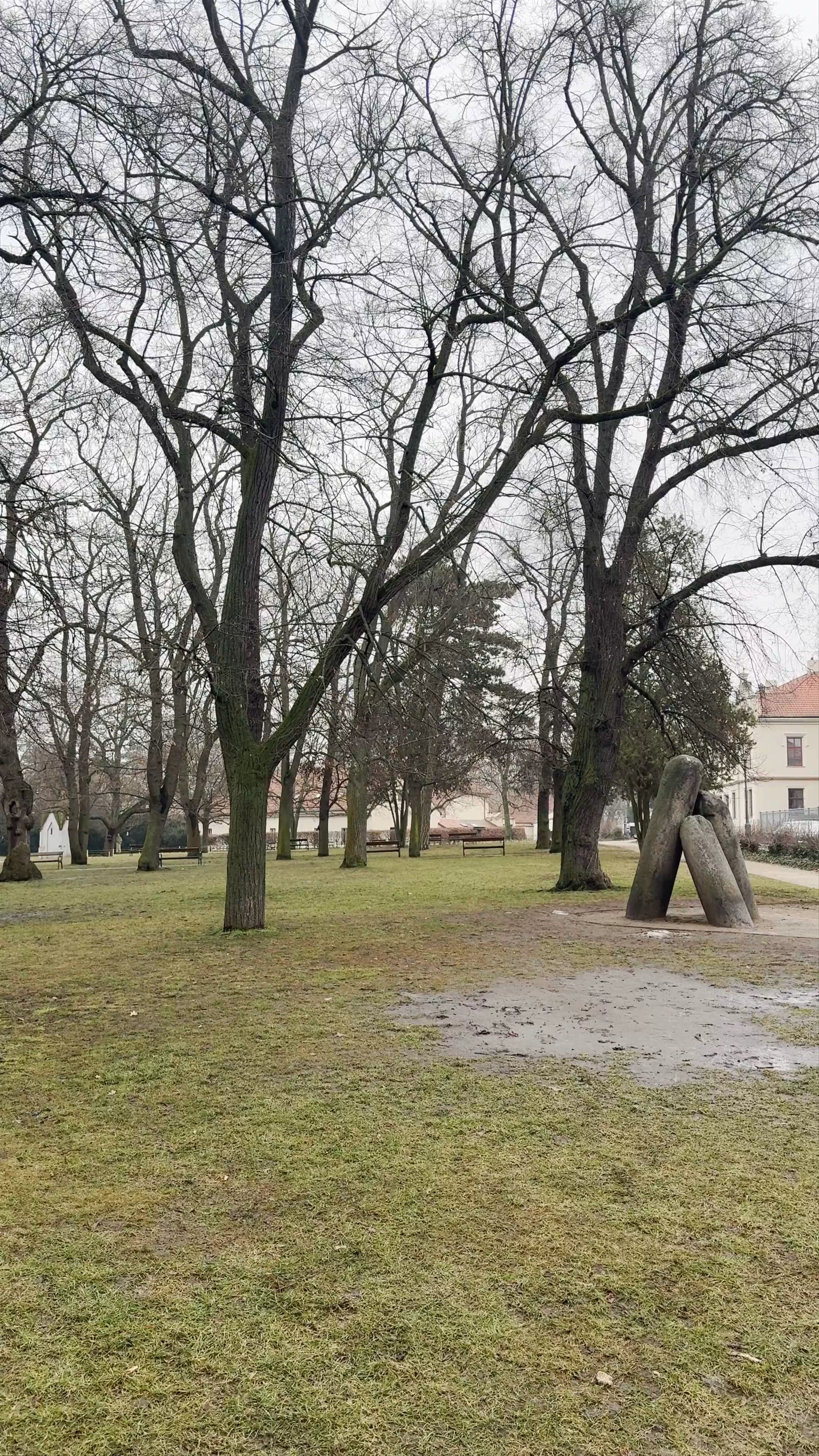 Karlachovy sady, Vyšehrad