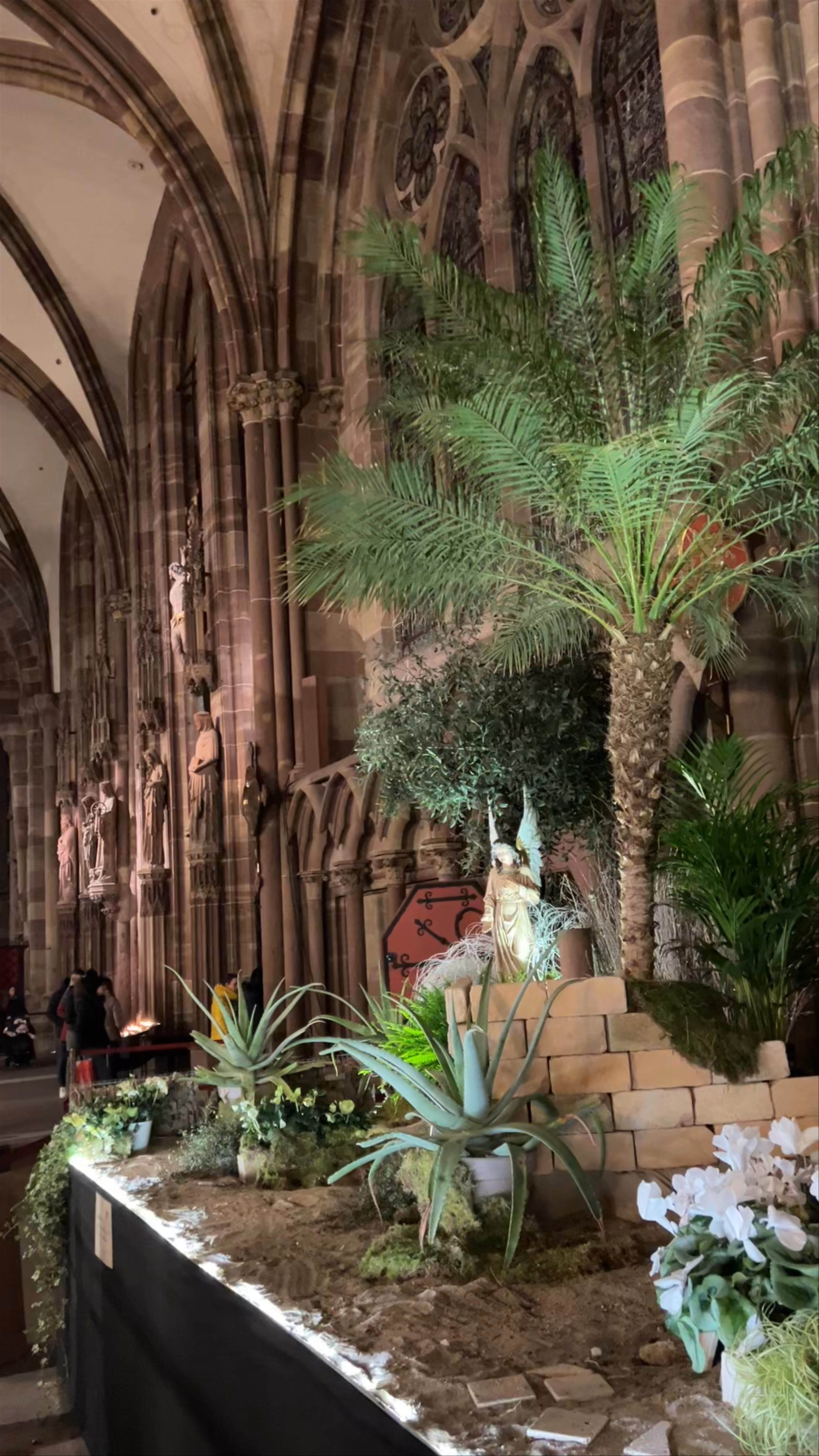 Cathedral of Our Lady of Strasbourg