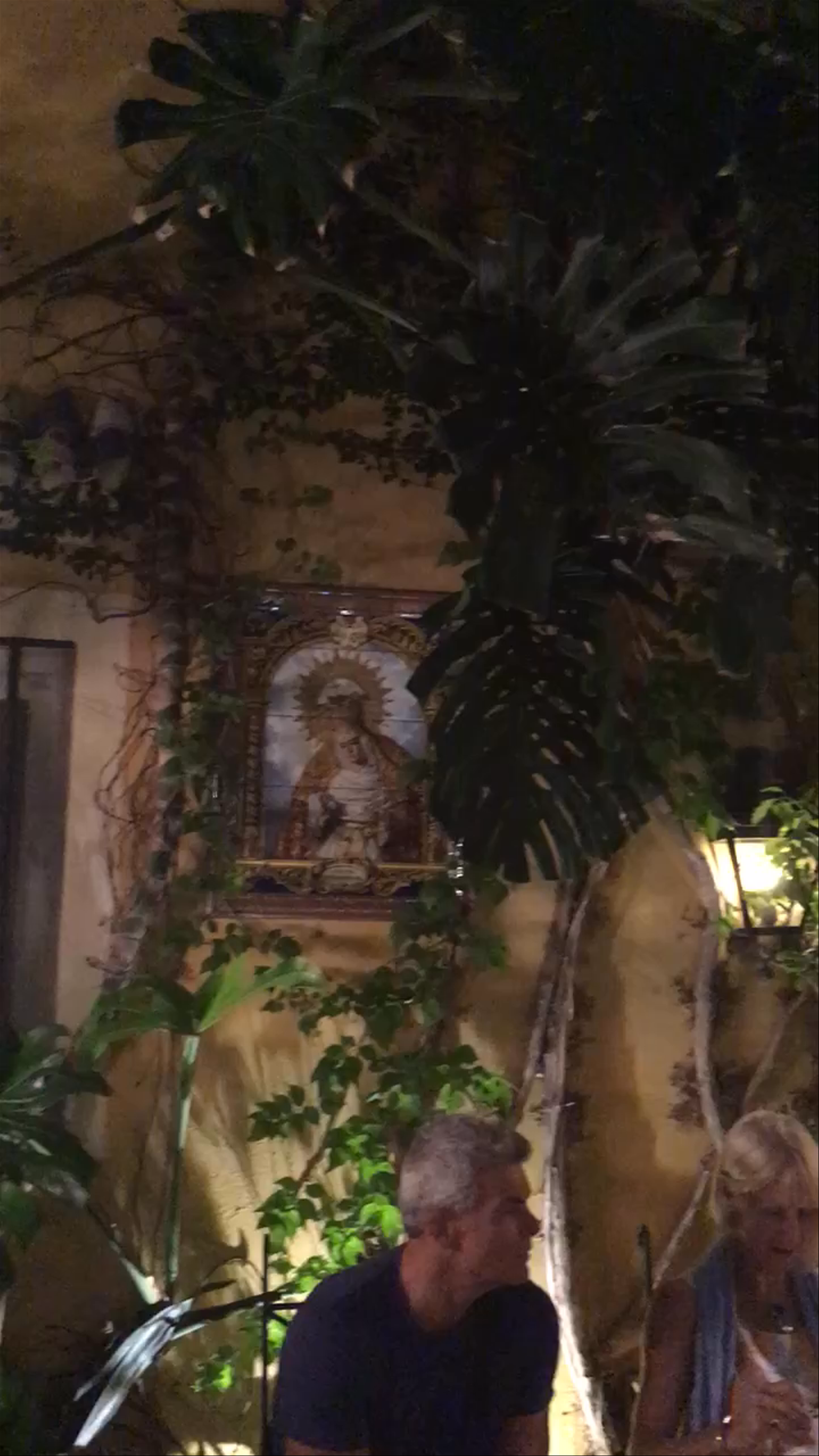 Casa Manolo León: Enchanting Evening Dining in Sevilla