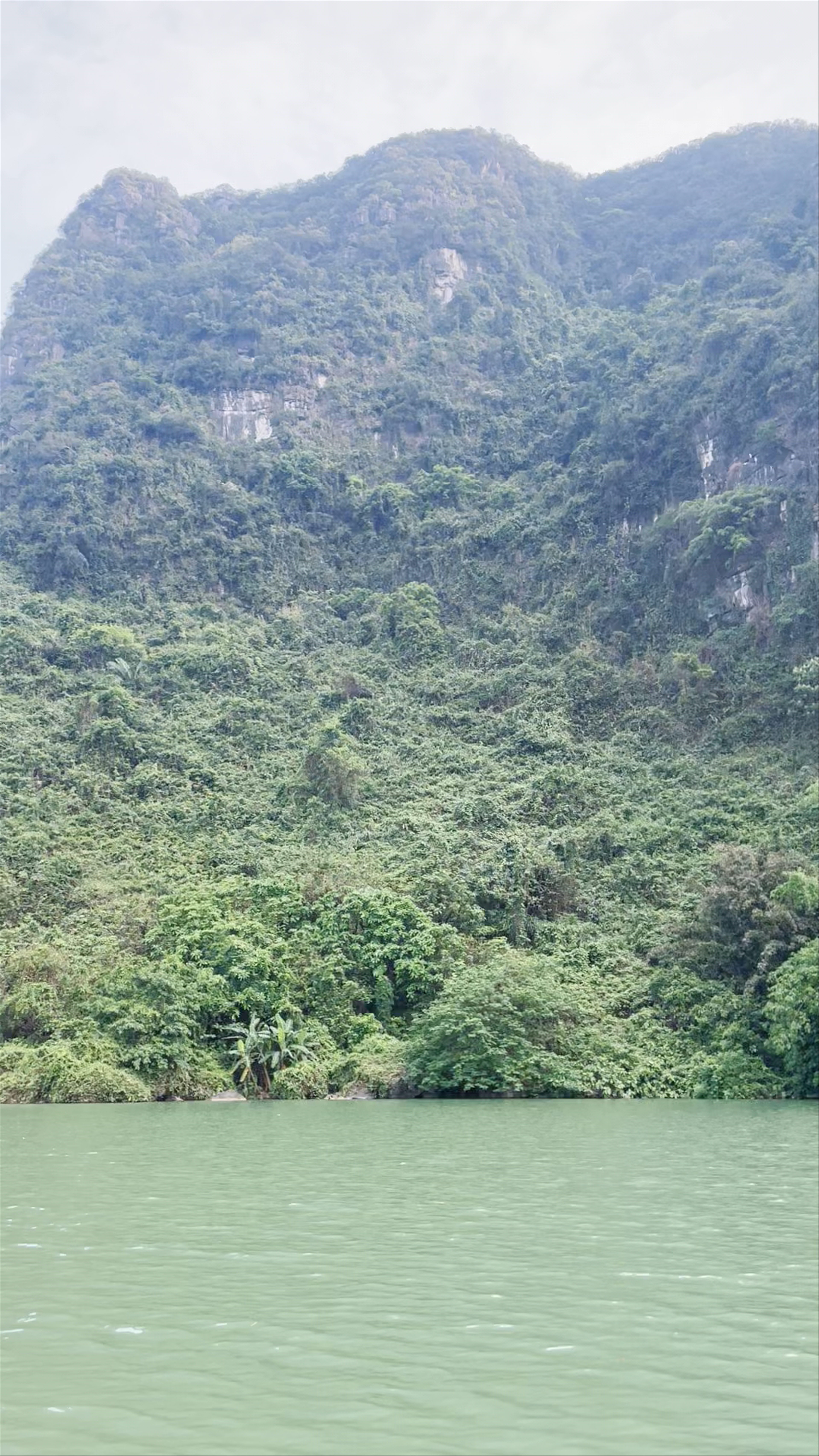 Serene Bamboo River Journey in Trang An, Vietnam