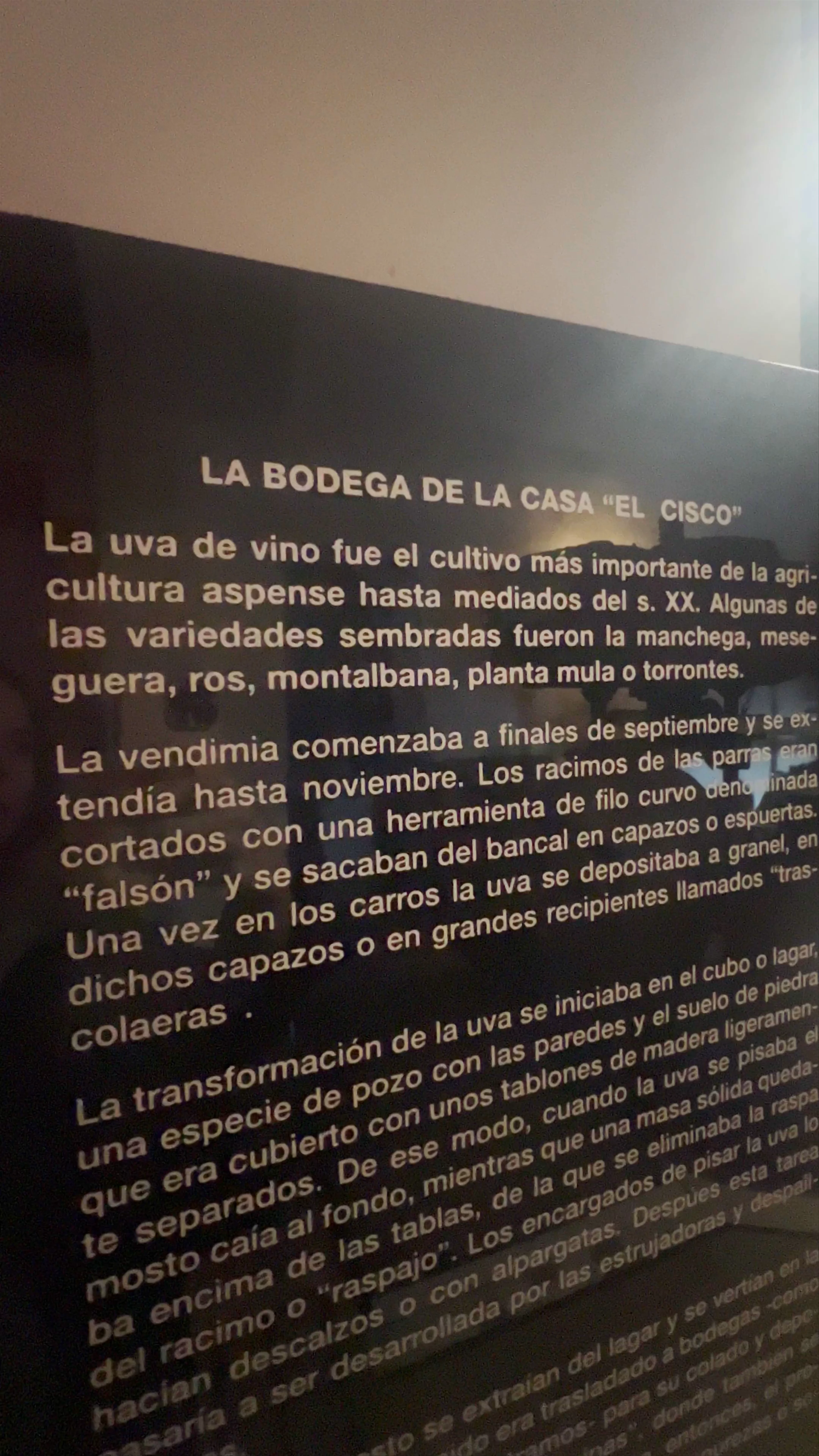 Casa Cisco