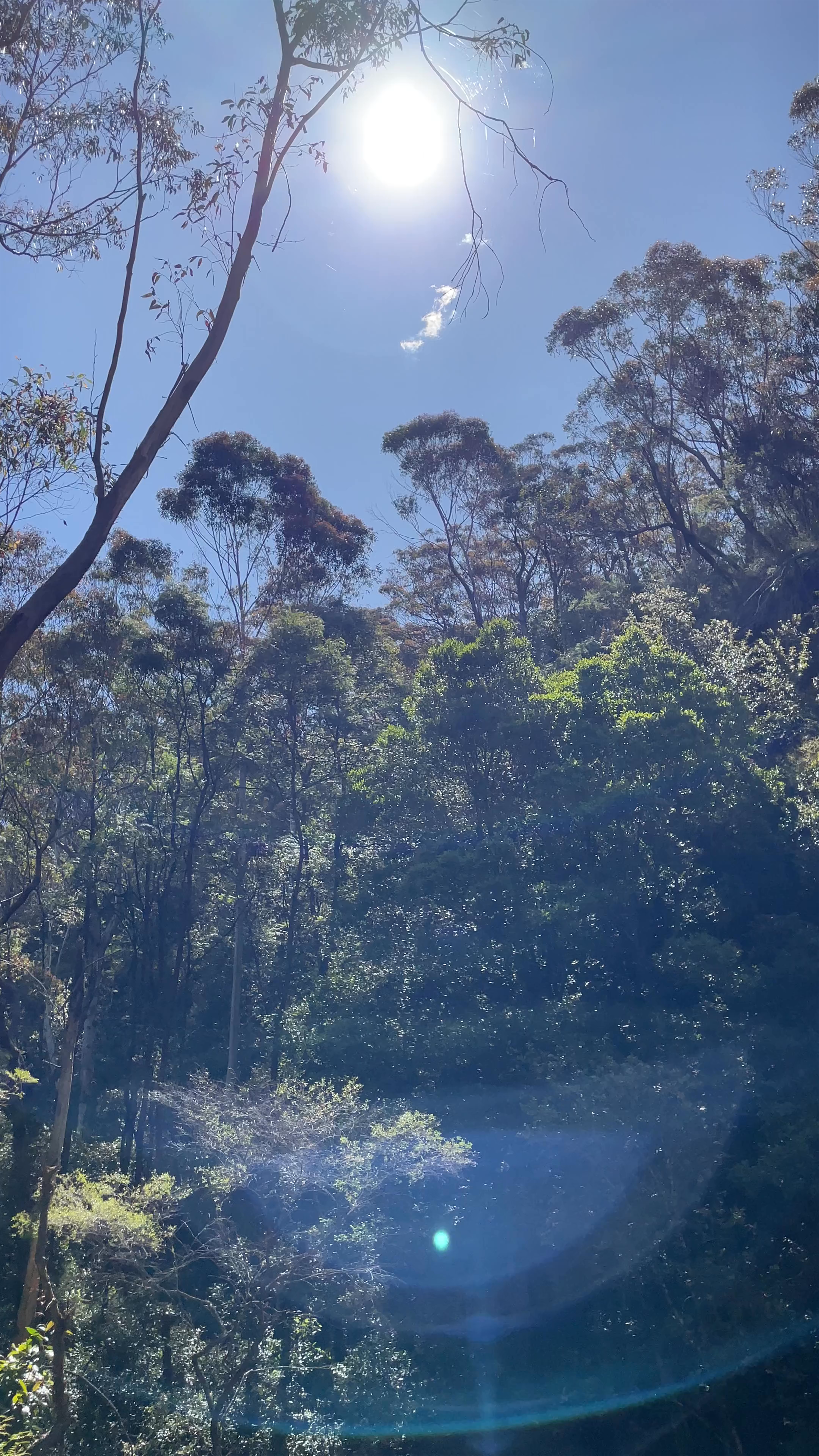 South Lawson Waterfall Circular Walking Track