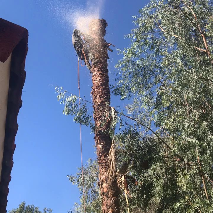 HVA Tree Care - Tree Services Near Me