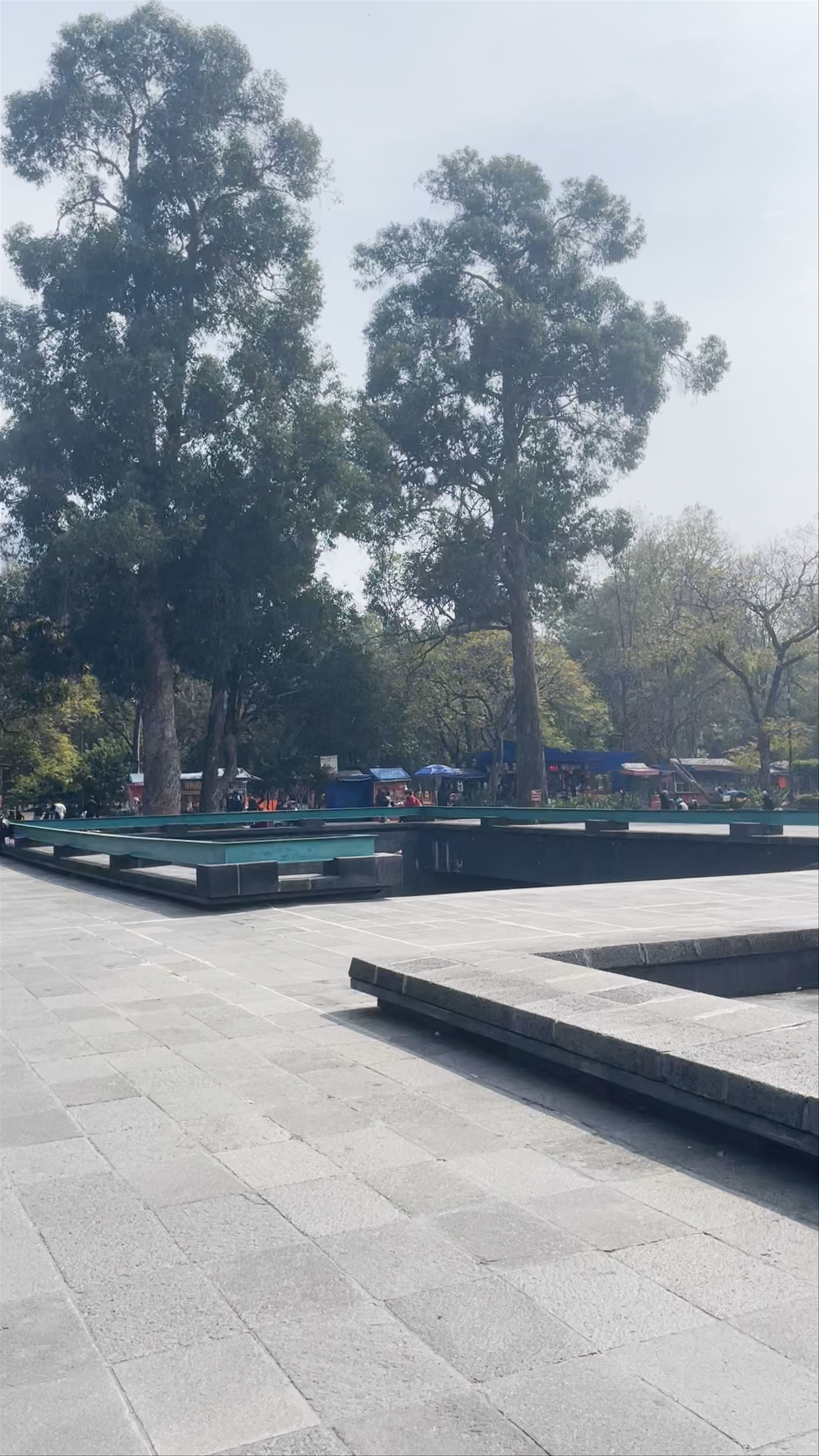 Museo Nacional de Antropología: A Journey into Mexico City's Soul