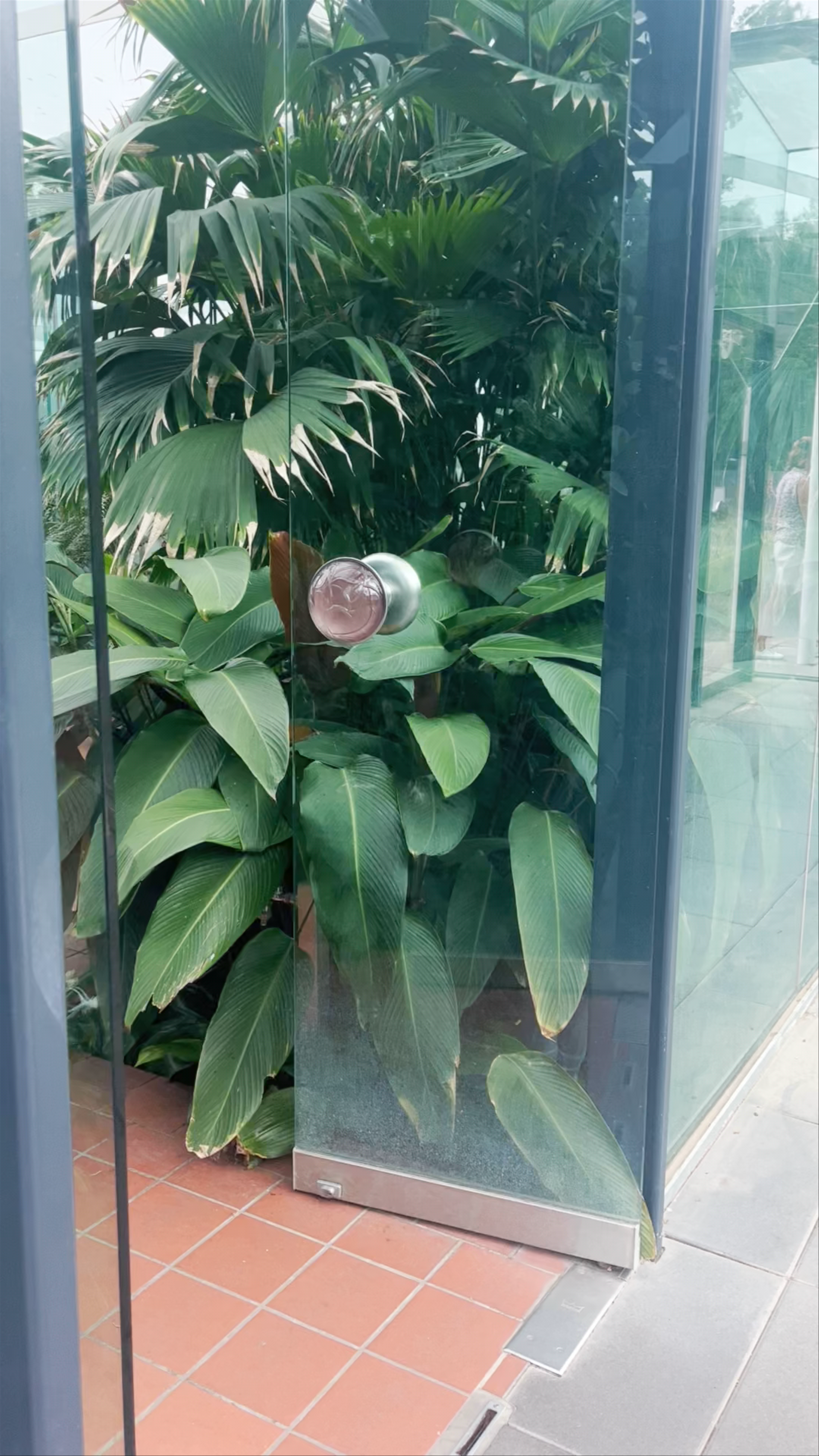 Amazon Waterlily Pavilion