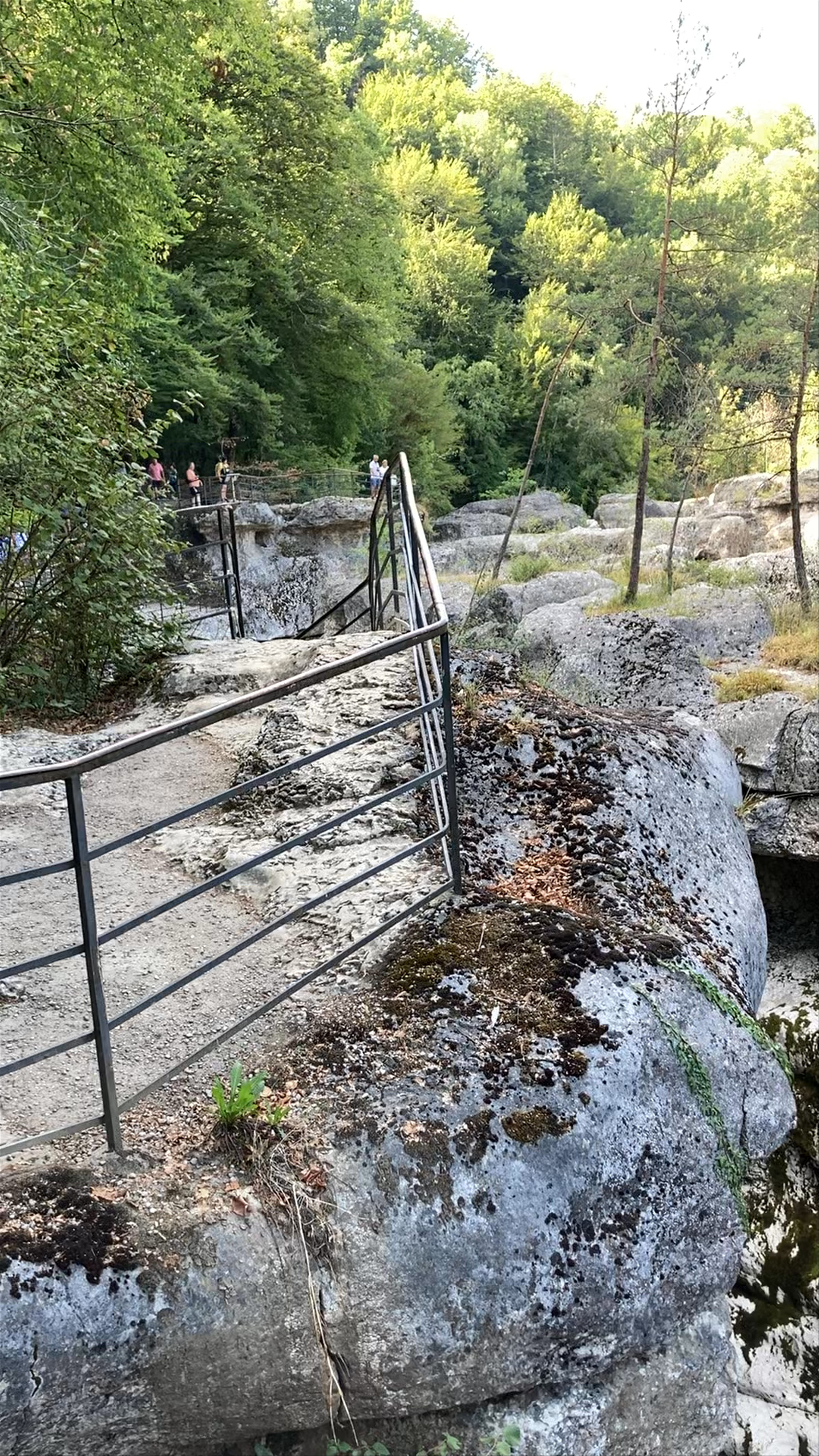 Gorges du Fier