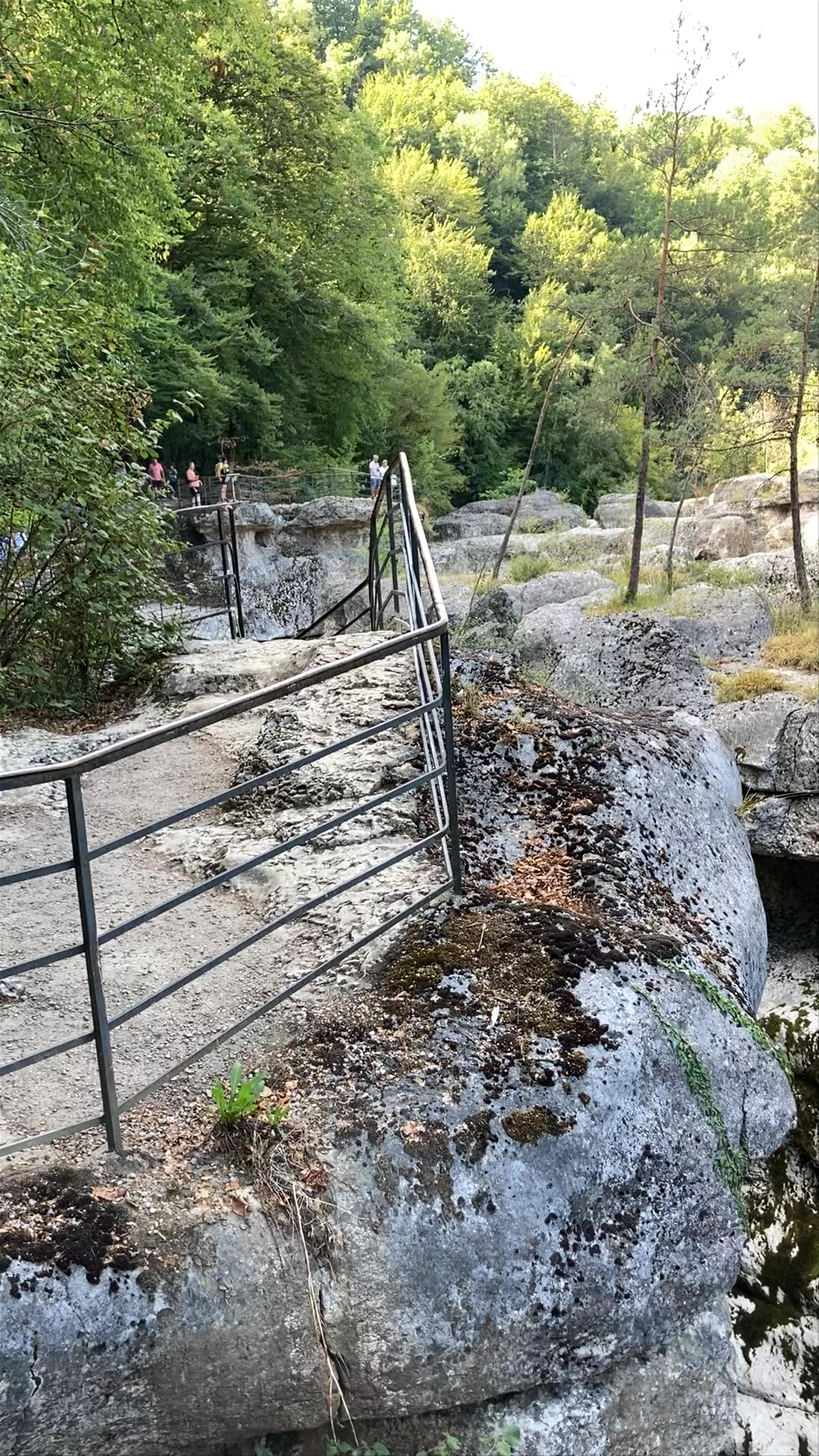 Gorges du Fier