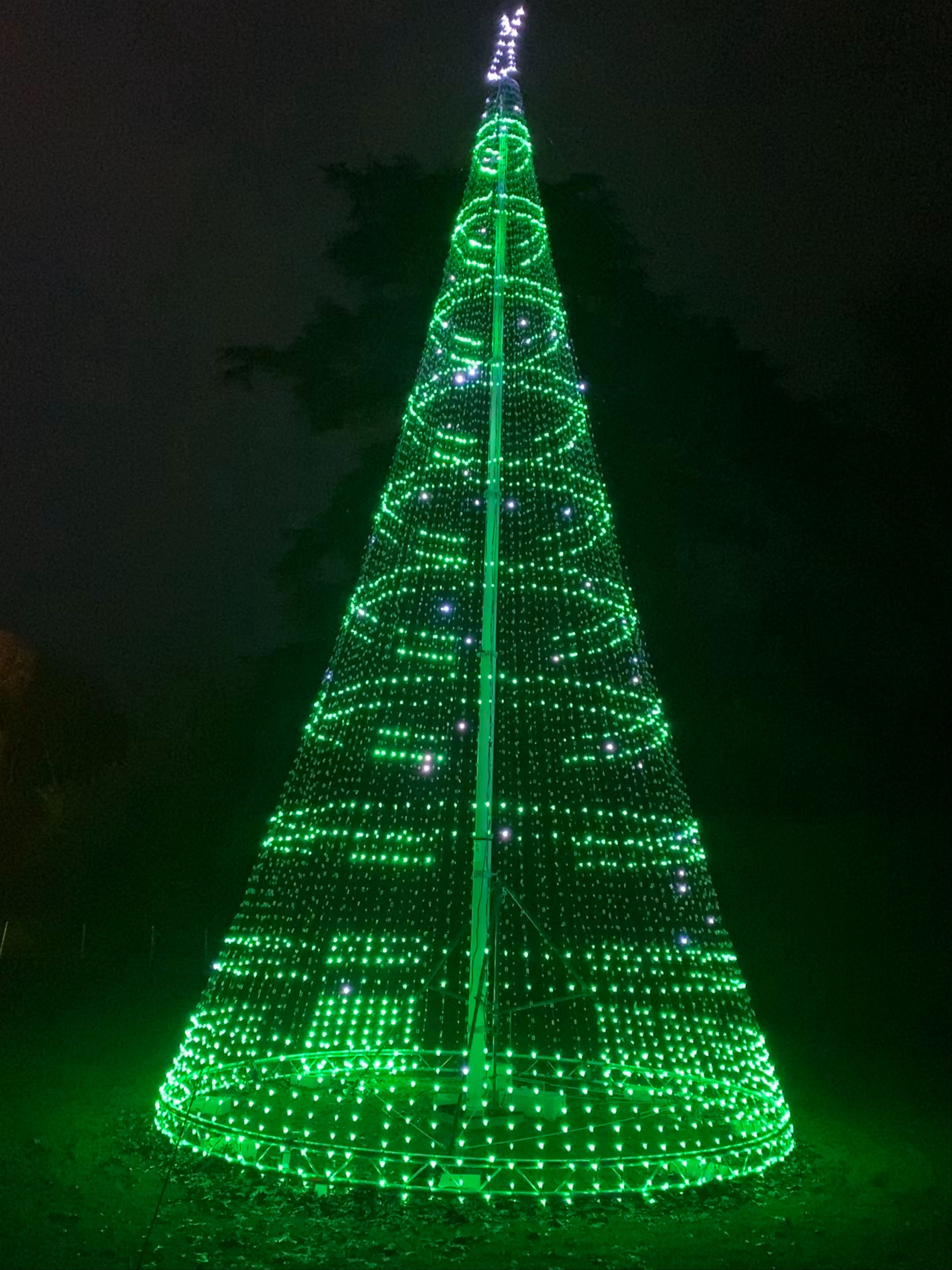 Christmas at Blenheim Palace