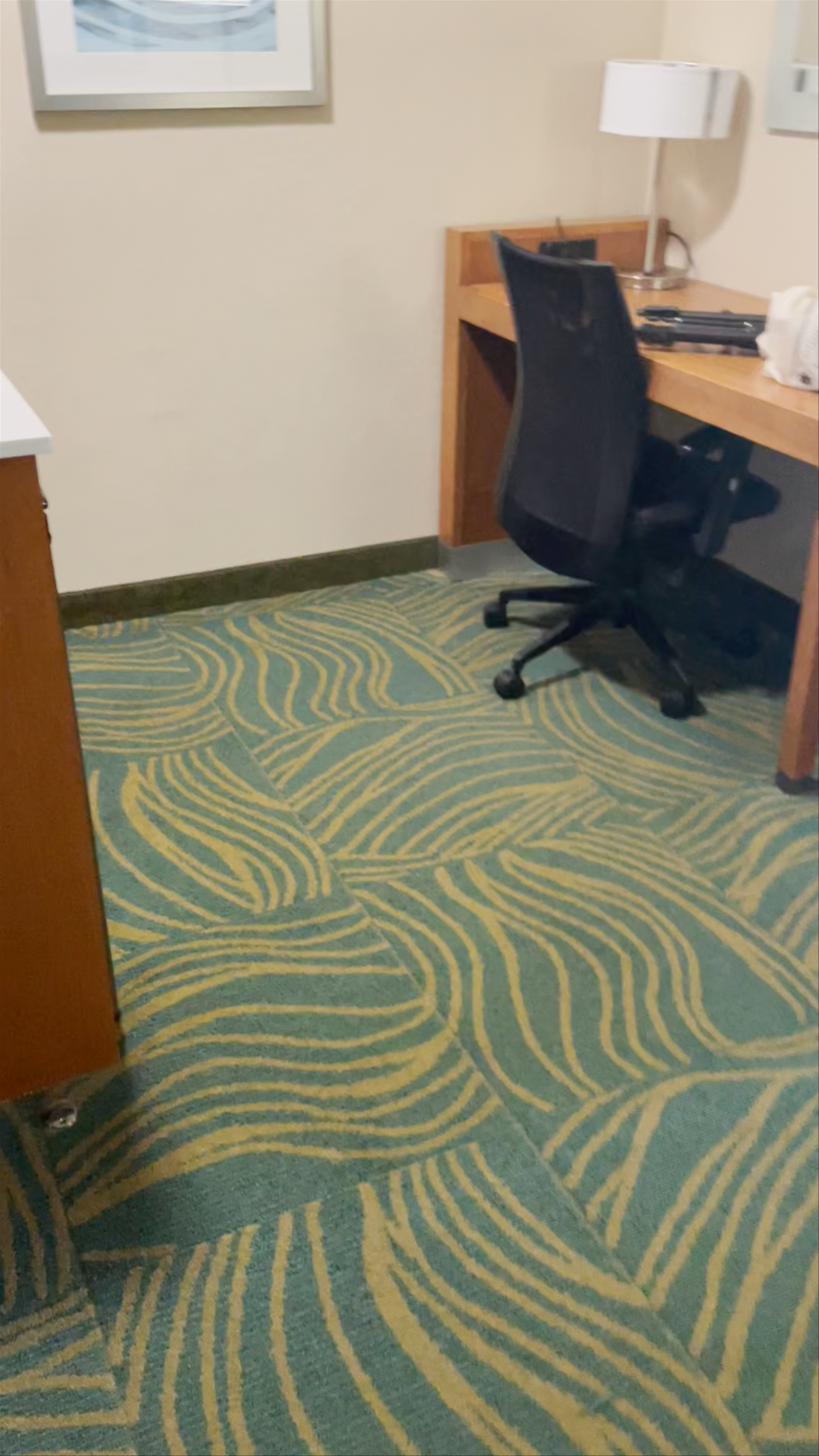 TownePlace Suites by Marriott Charleston-West Ashley Room Tour