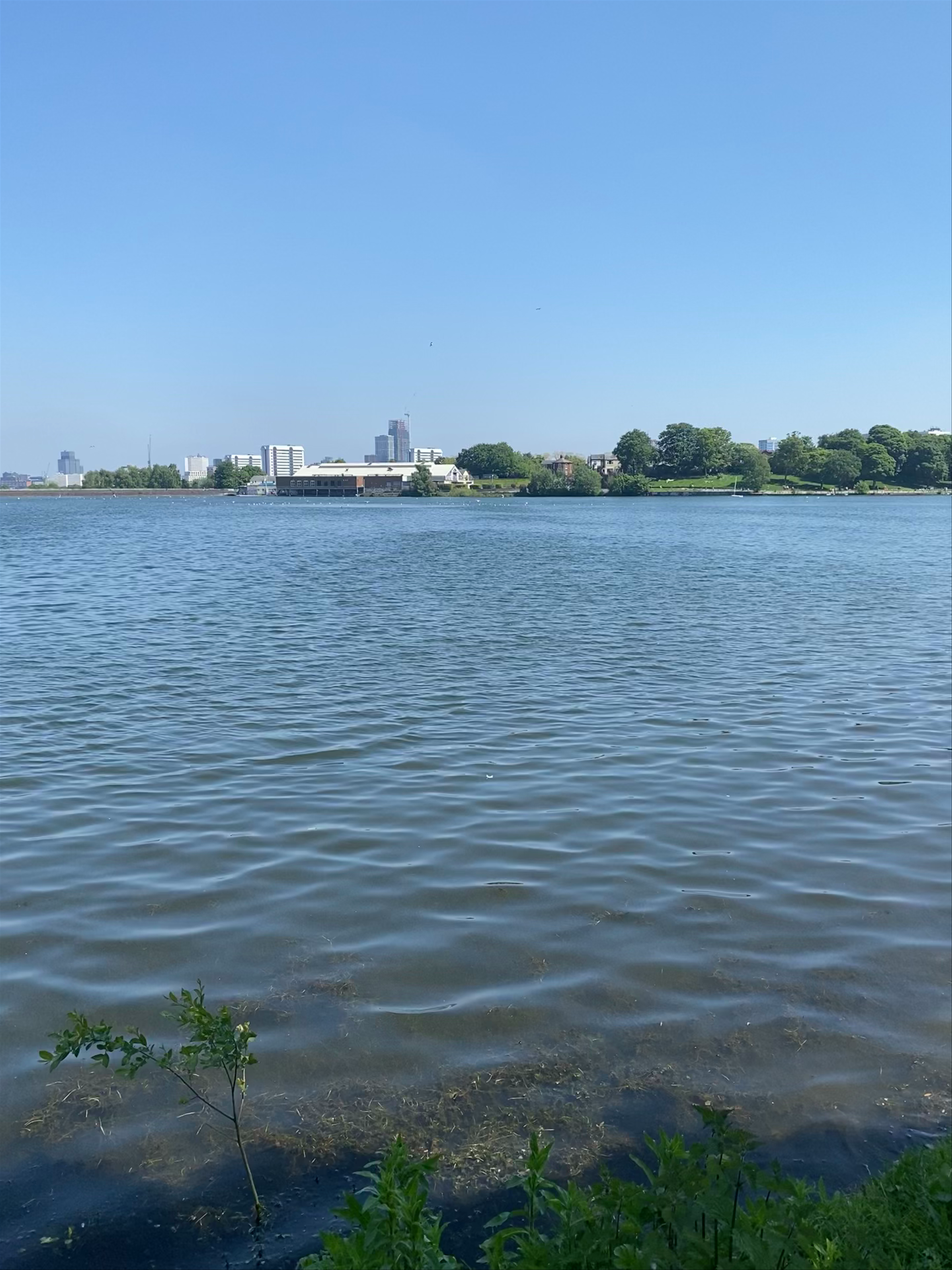 Serene Spring Day at Edgbaston Reservoir, Birmingham