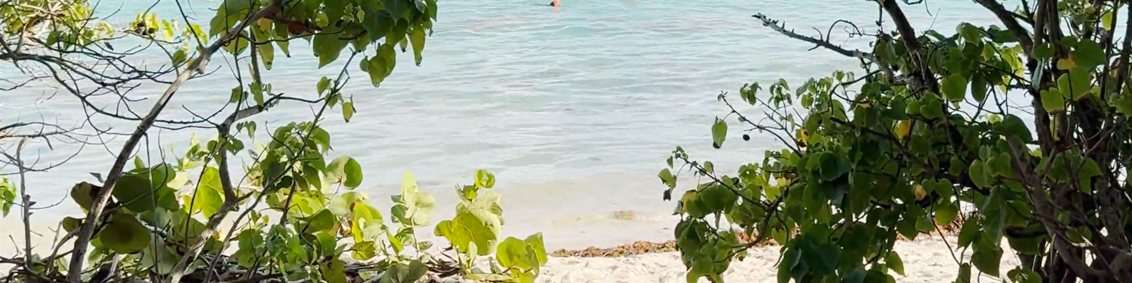 Guadeloupe
