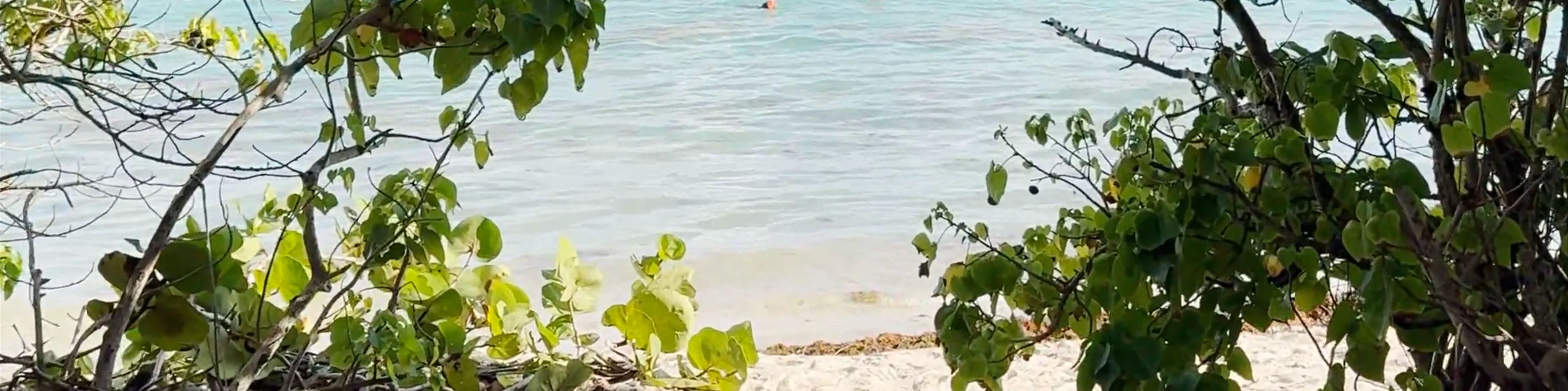 Plage de Bois Jolan