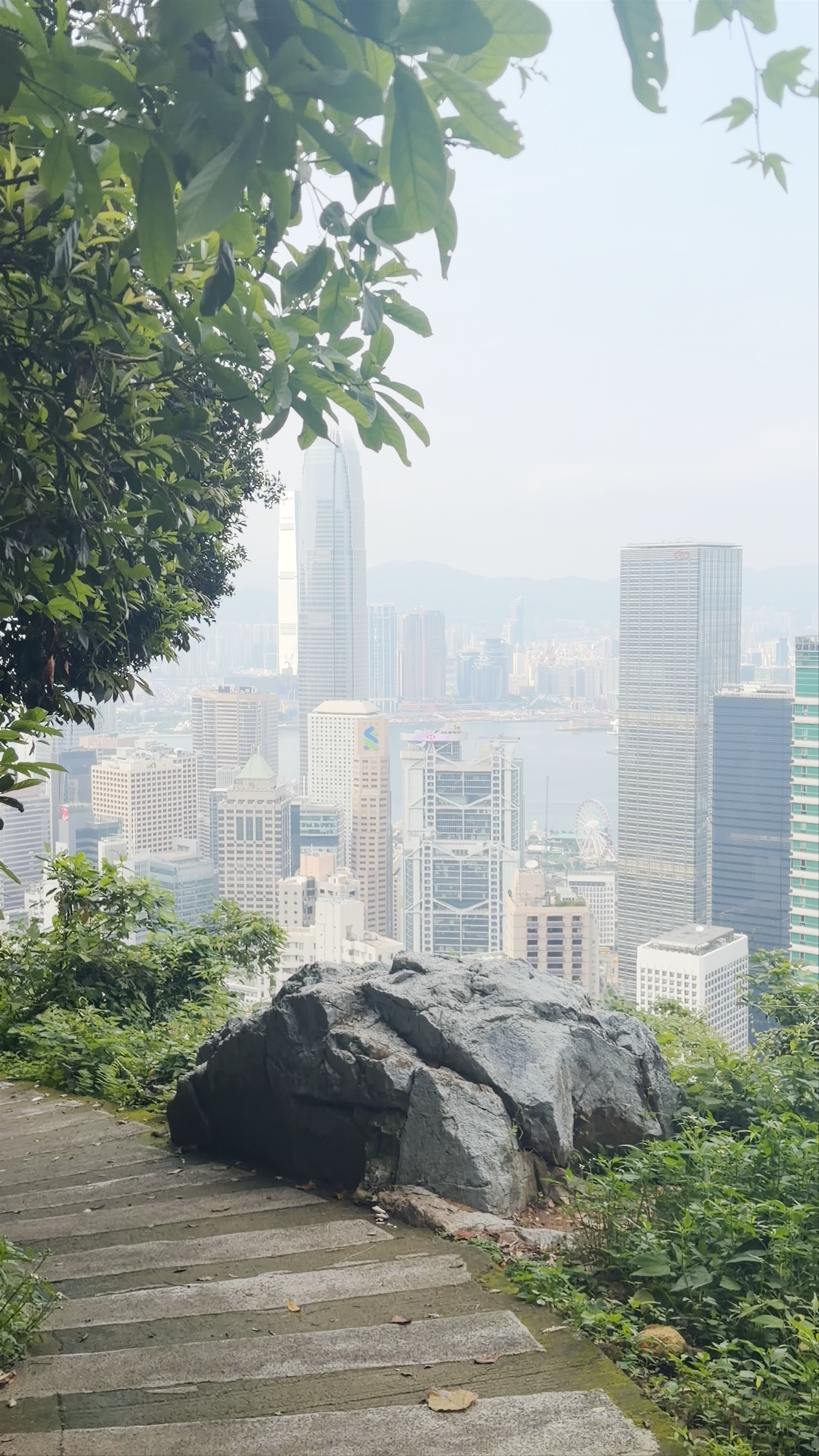 Morning Serenity Over Hong Kong Skyline from Chatham Maison