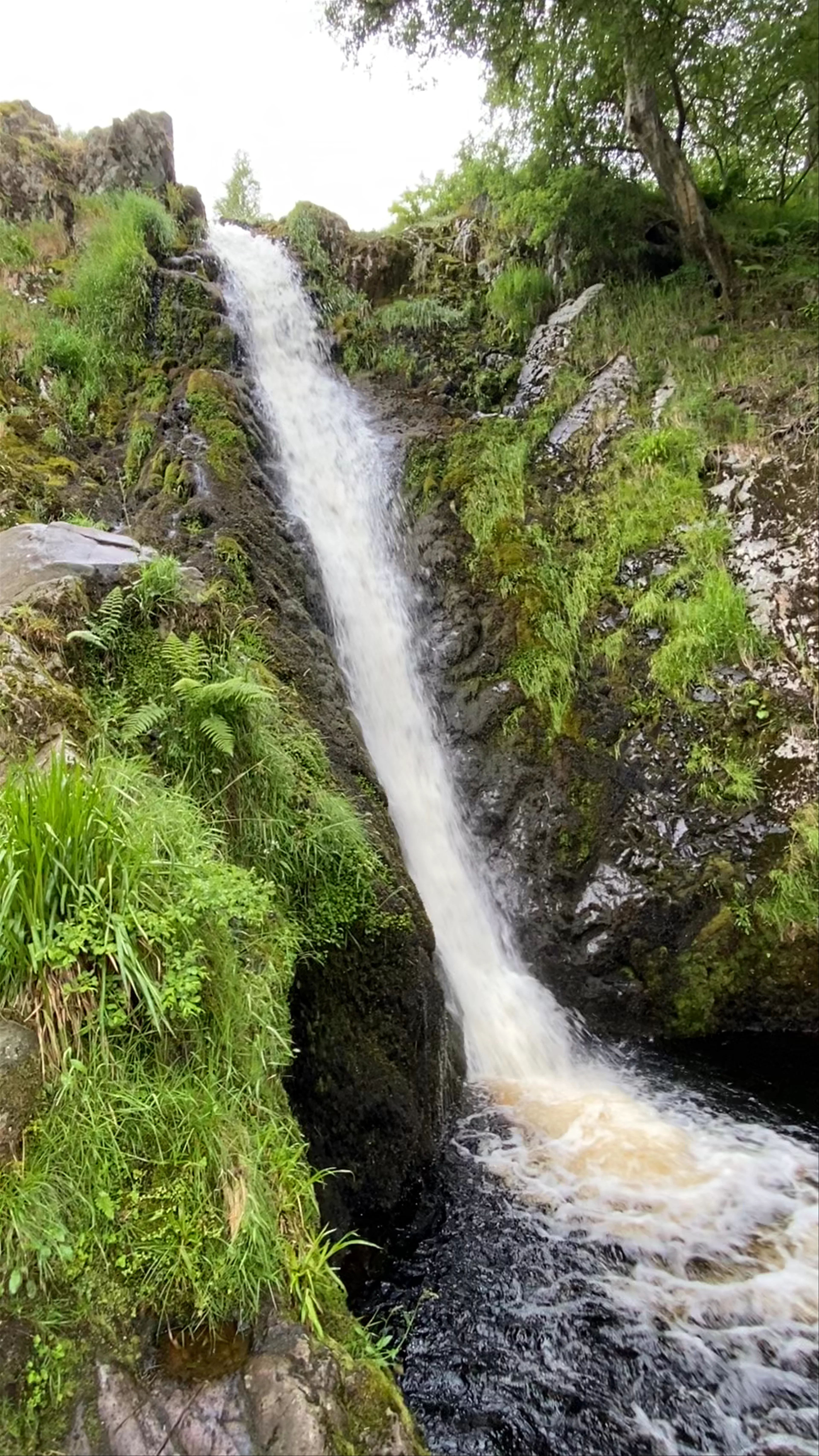 Linhope Spout Waterfall