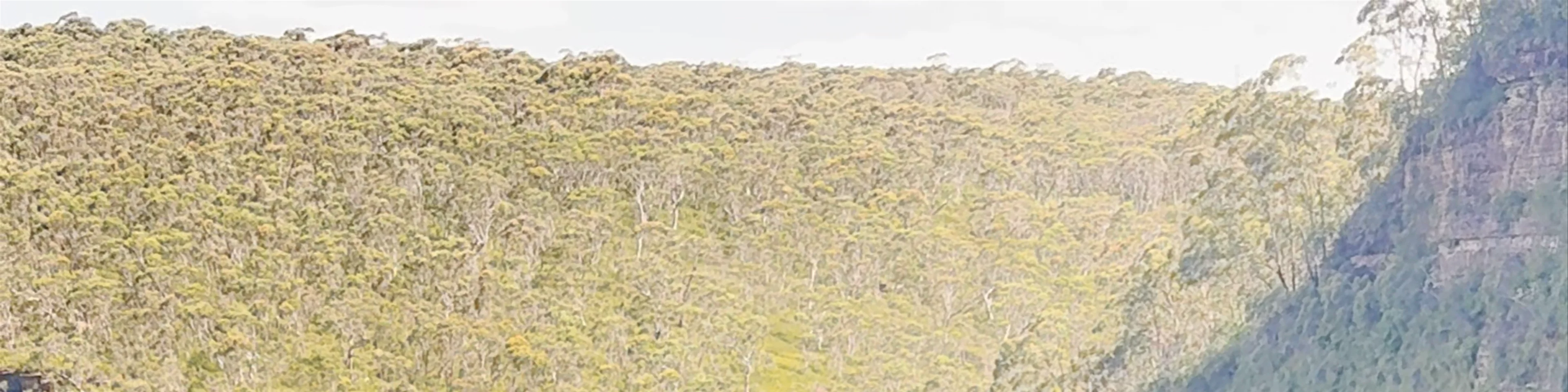Govetts Leap lookout