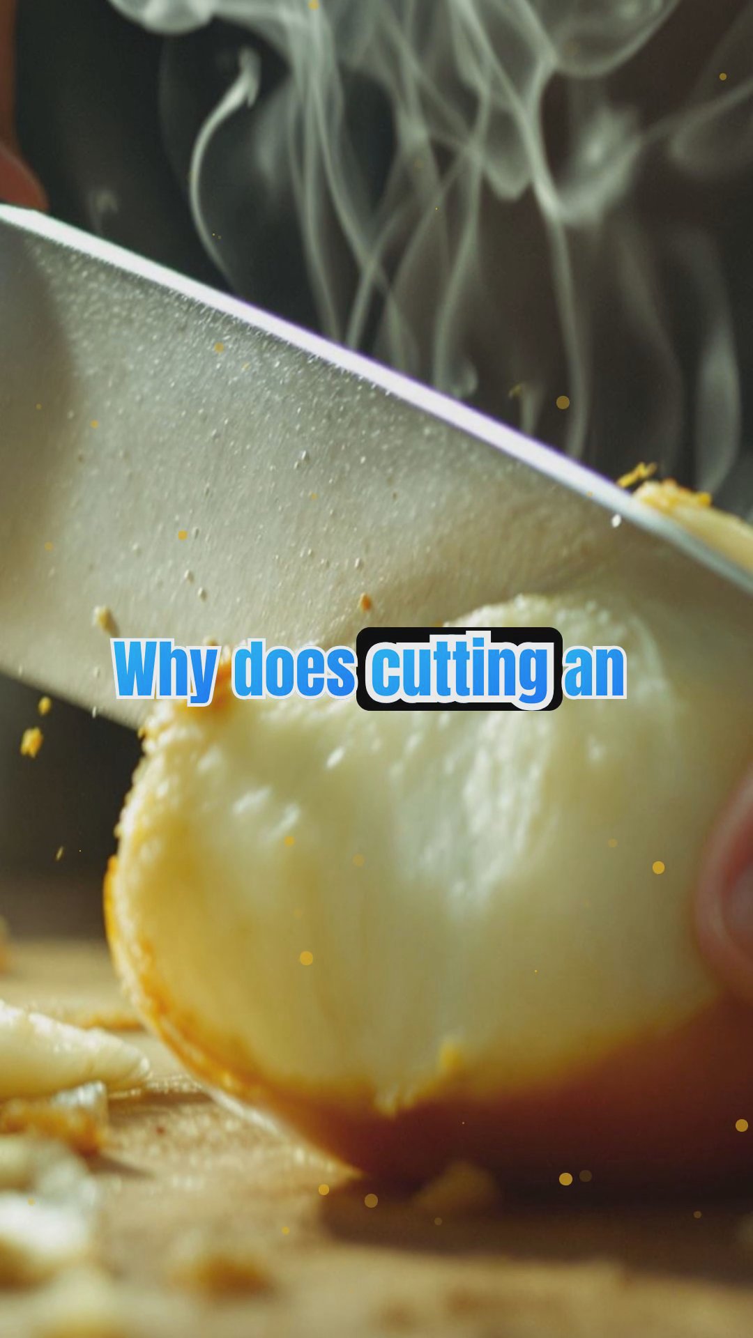 The Science of Cooking: Why Food Behaves the Way It Does