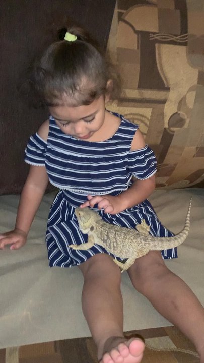 The Serpentarium - Lizzy the lizard - Pet Stores Near Me - Stockton, California